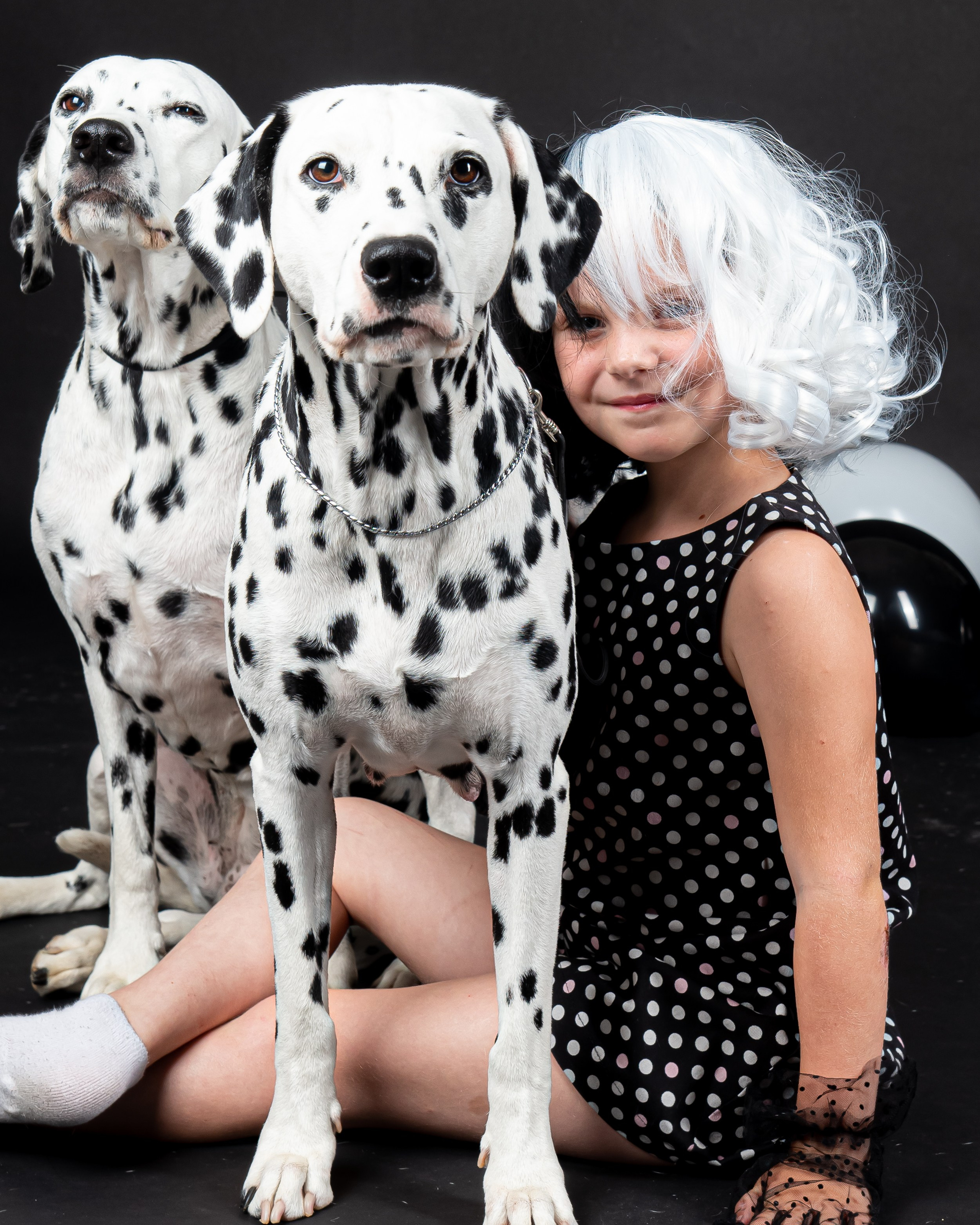 Далматины 2024