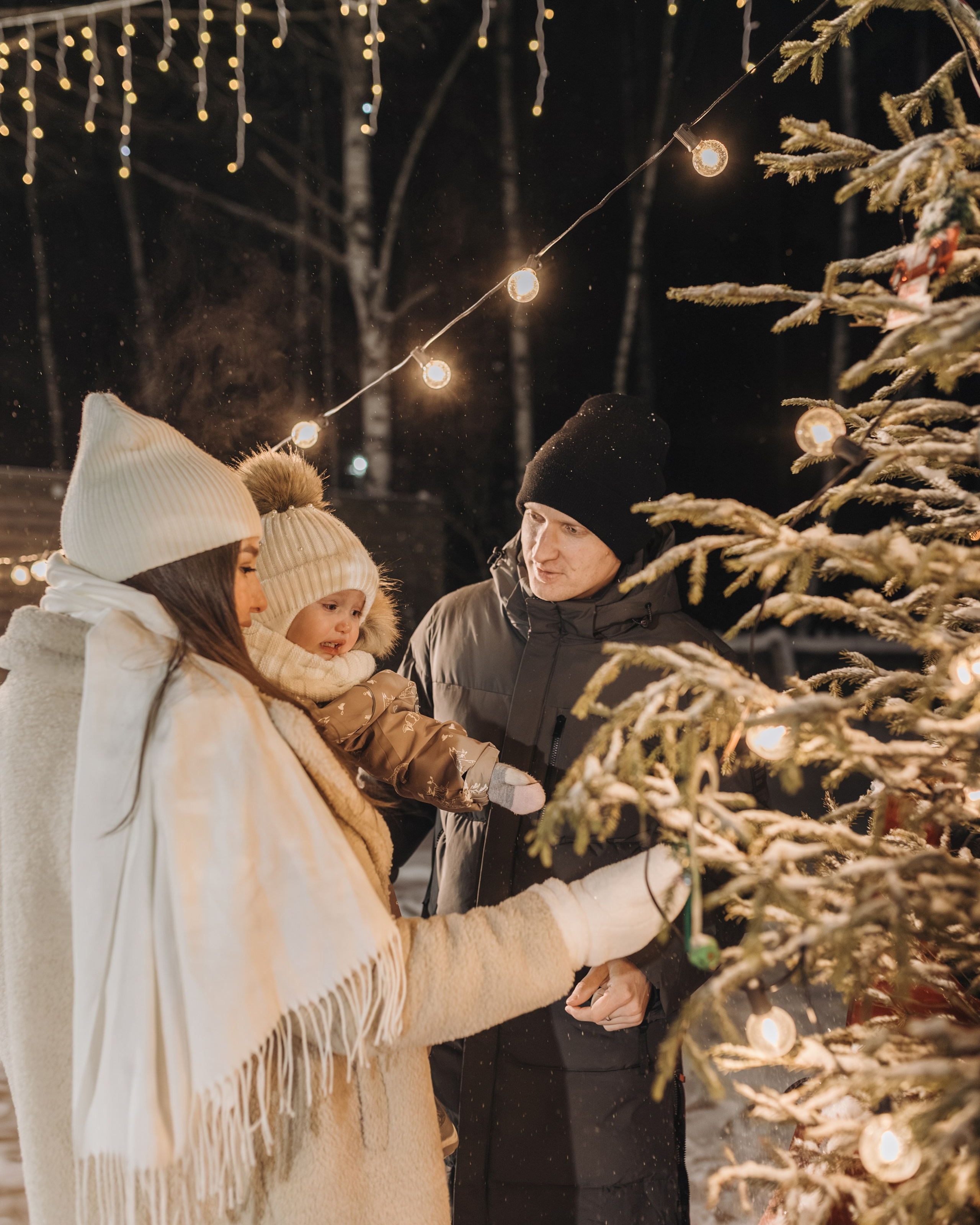 Предновогодняя прогулка