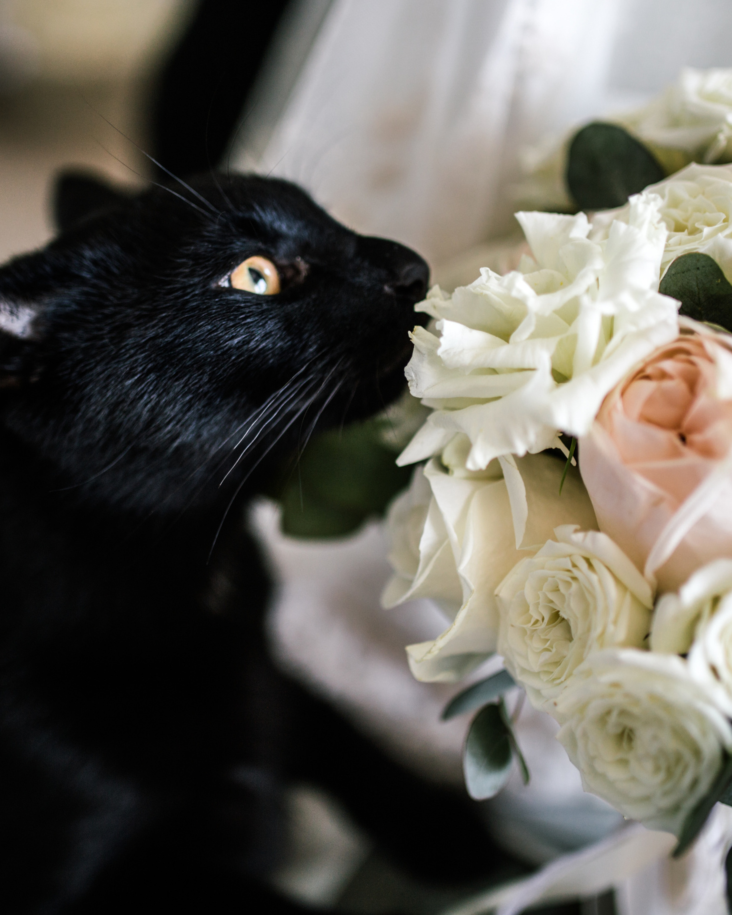 Свадебный день Екатерины и Олега 12.08.17