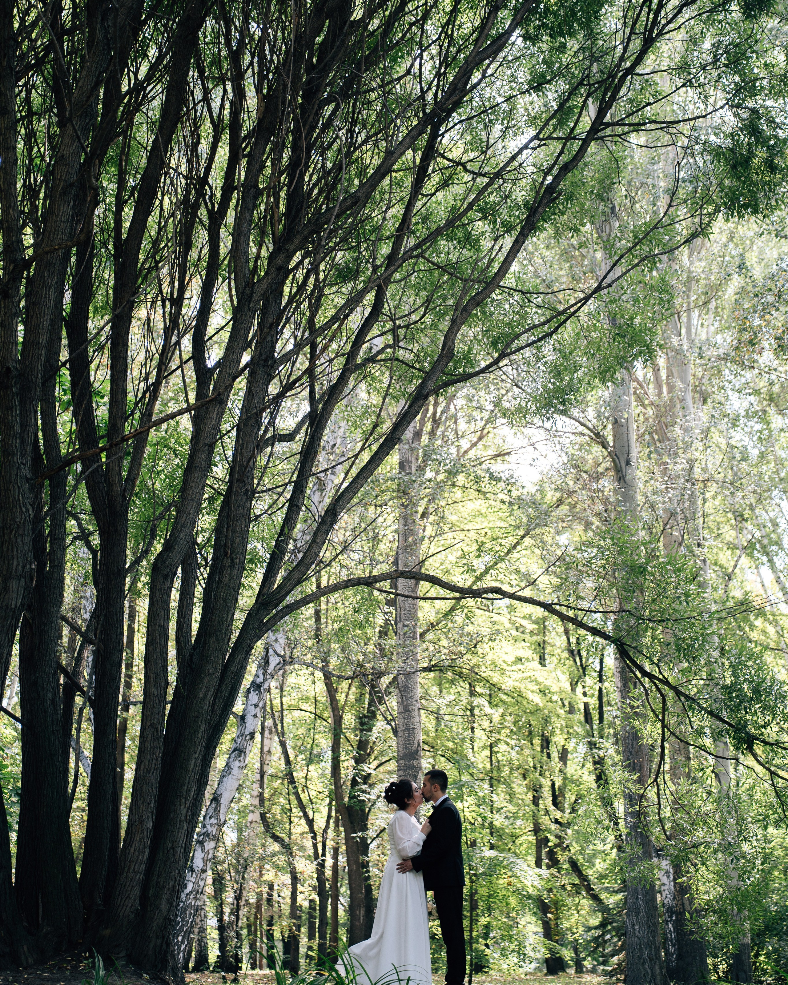 Поцелуй под ивой