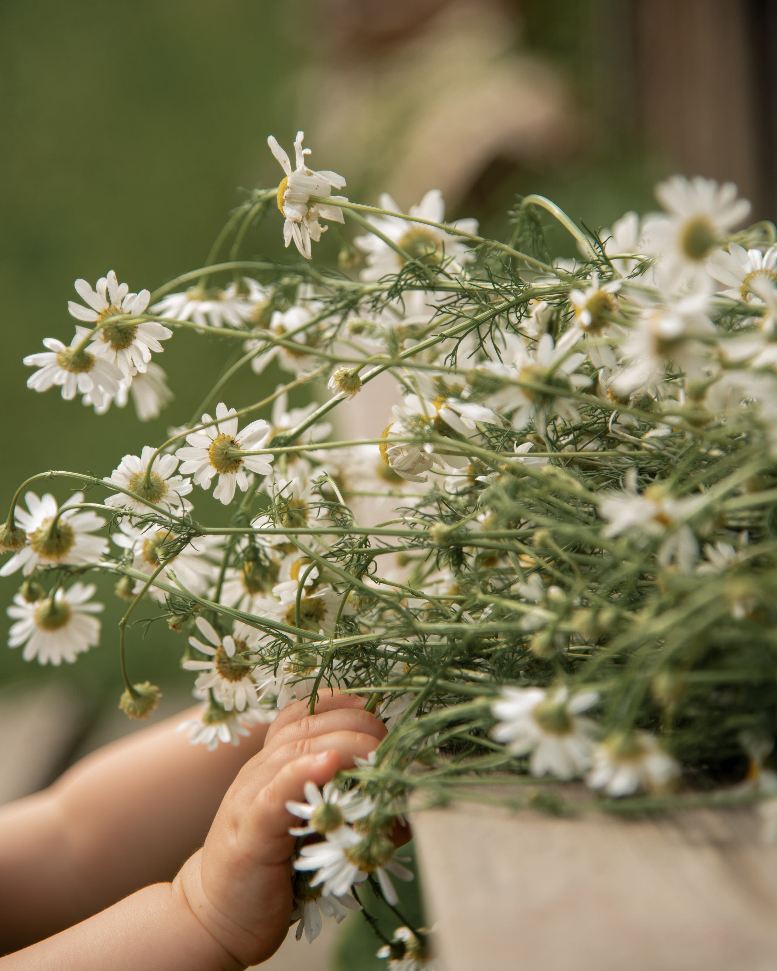В деревне летом