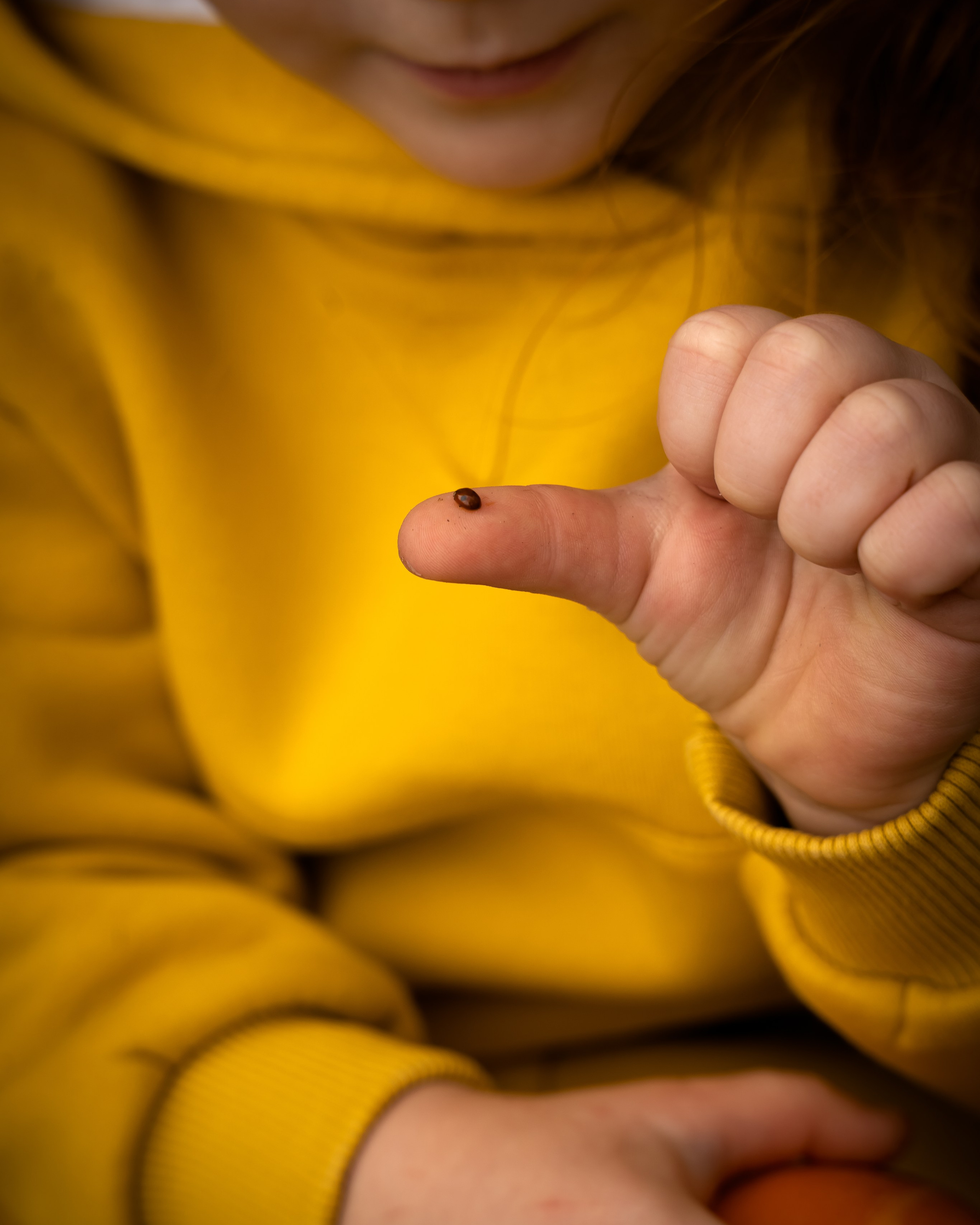 Осенняя история одной большой семьи