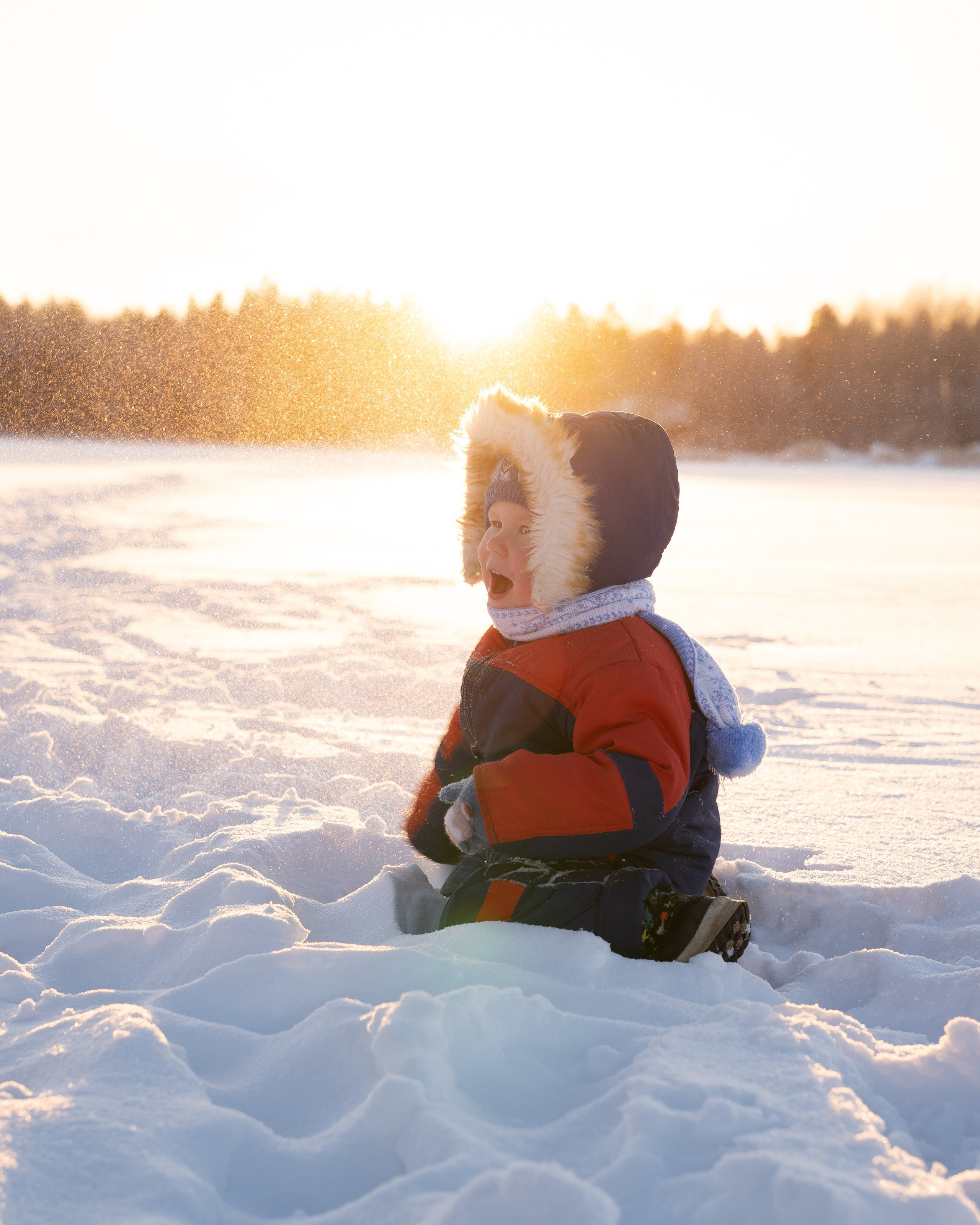 Морозный день