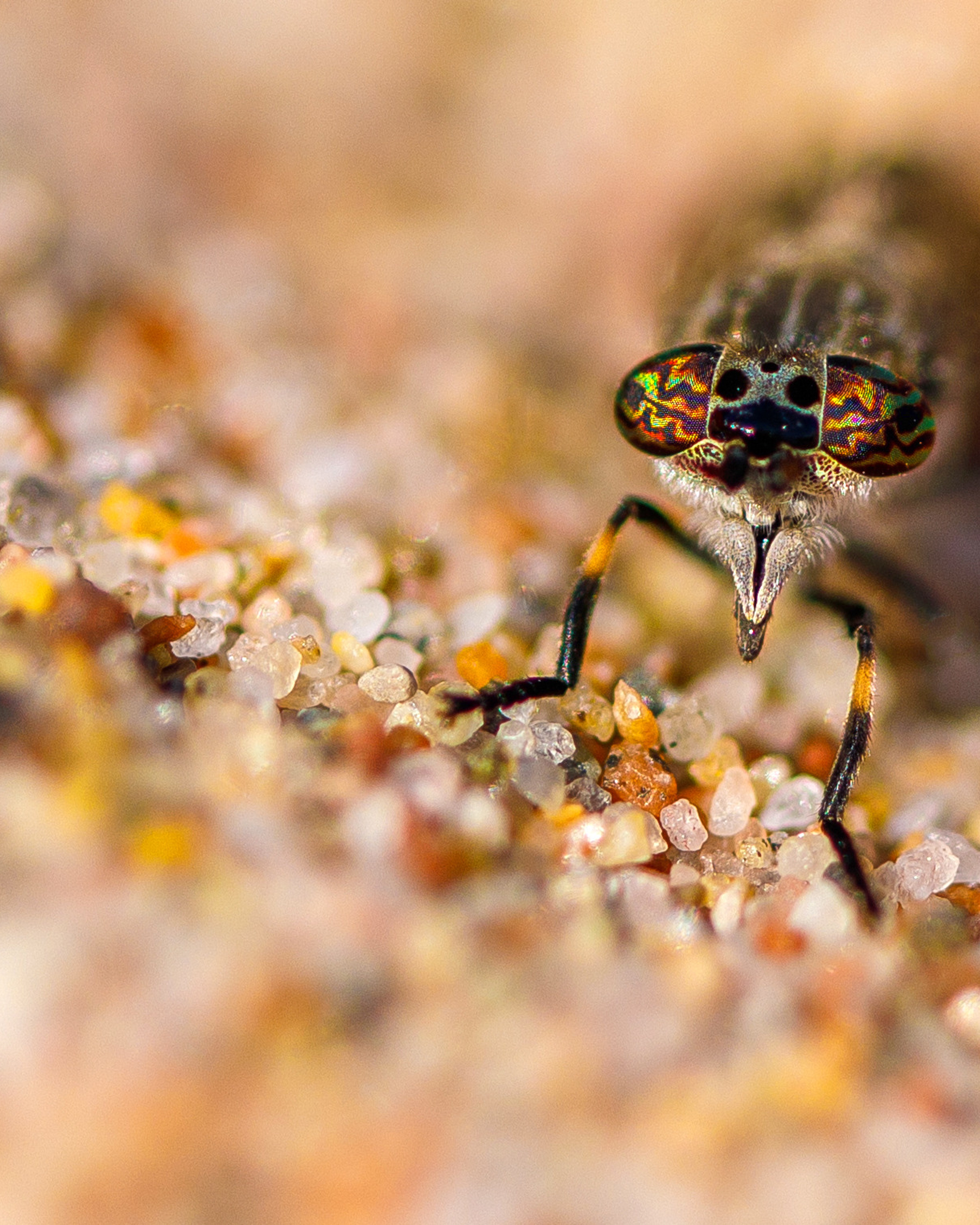 Макро съемка