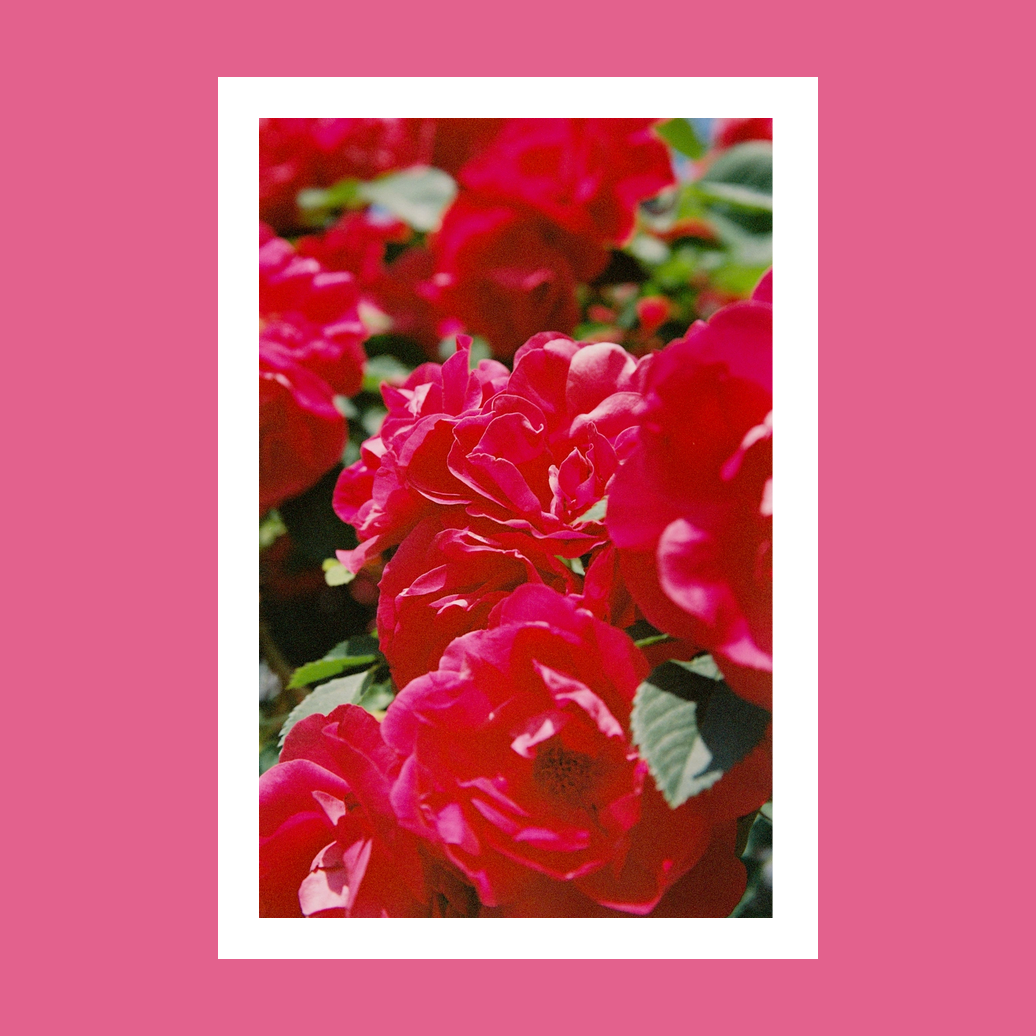 Ассортимент 8 марта