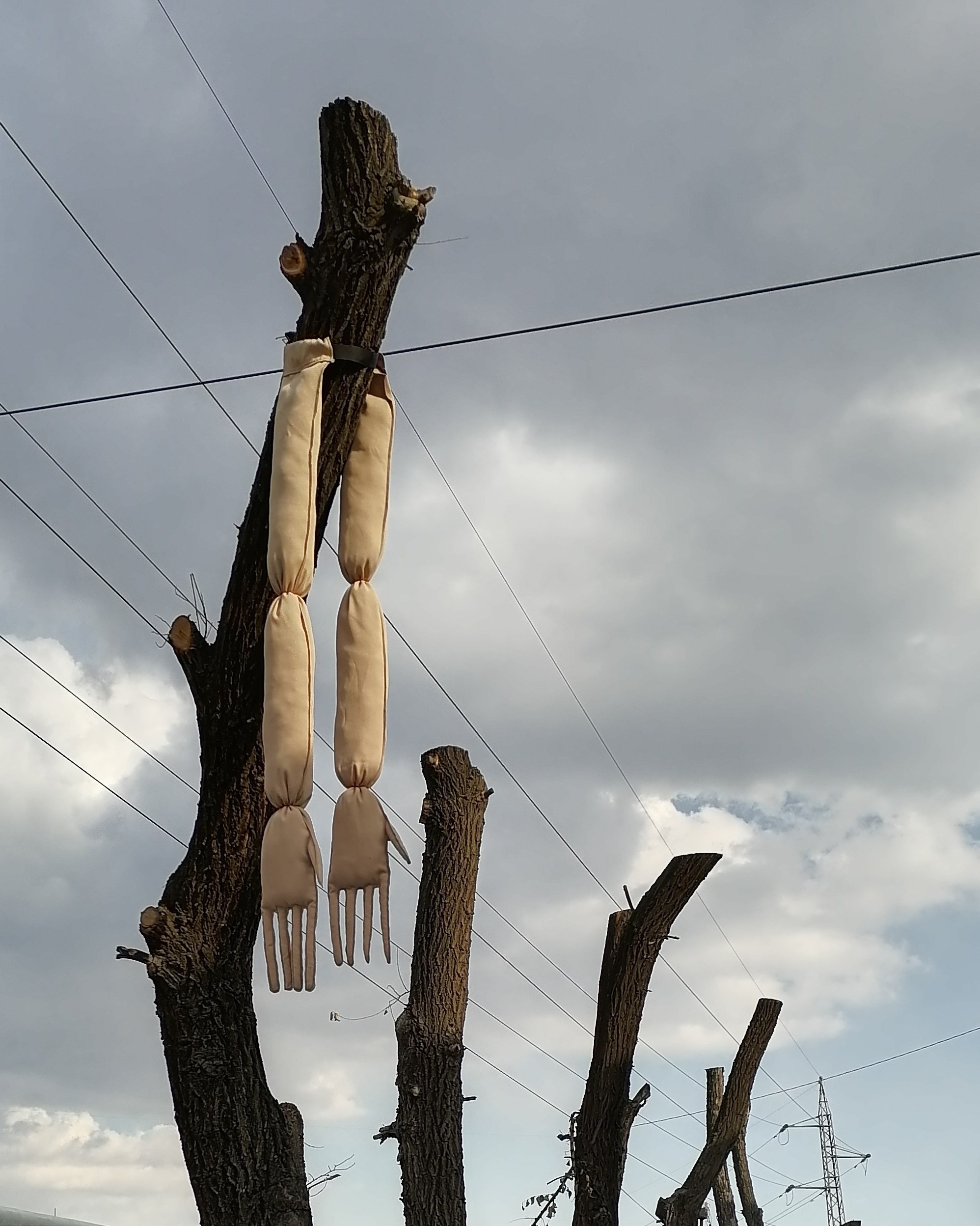 Манекены и Плечики. Художник Рыбак Николай