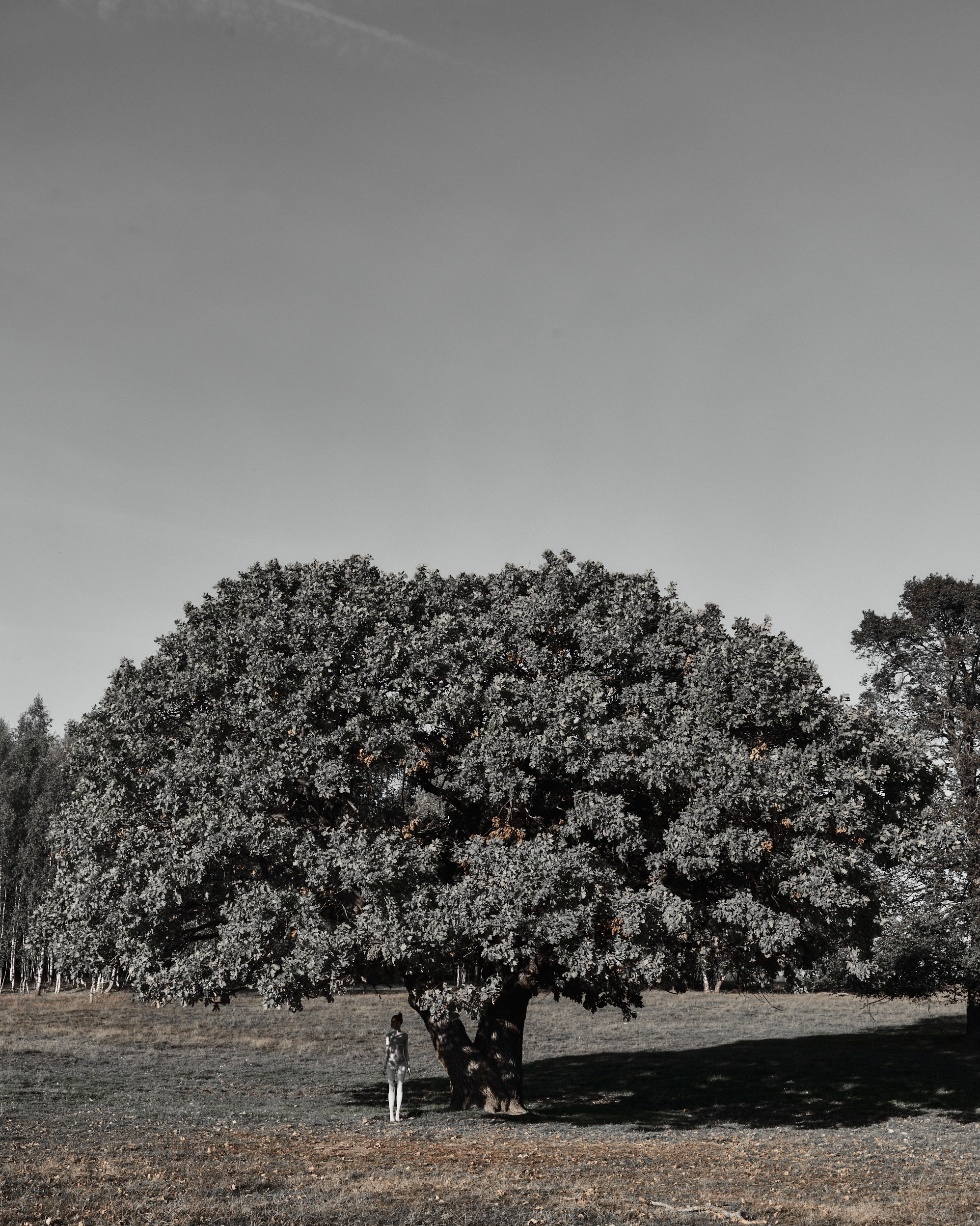 ART и CV. Коммерческий фотограф в Казани Ксения Добролюбова