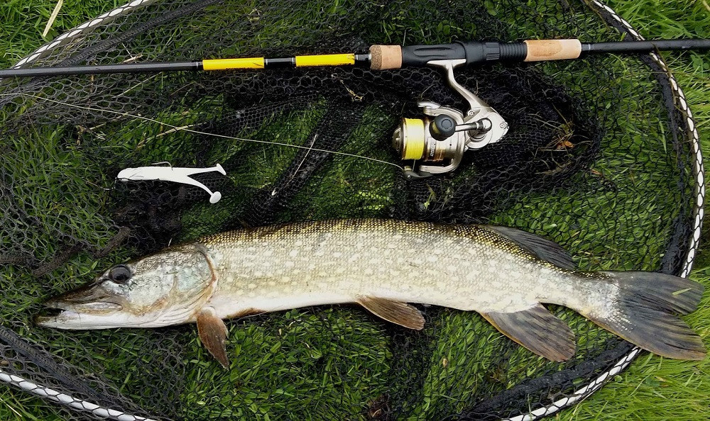 Сезон рыбалки закрыт. Оздоровительный комплекс Шалово-парк Серебряные ключи