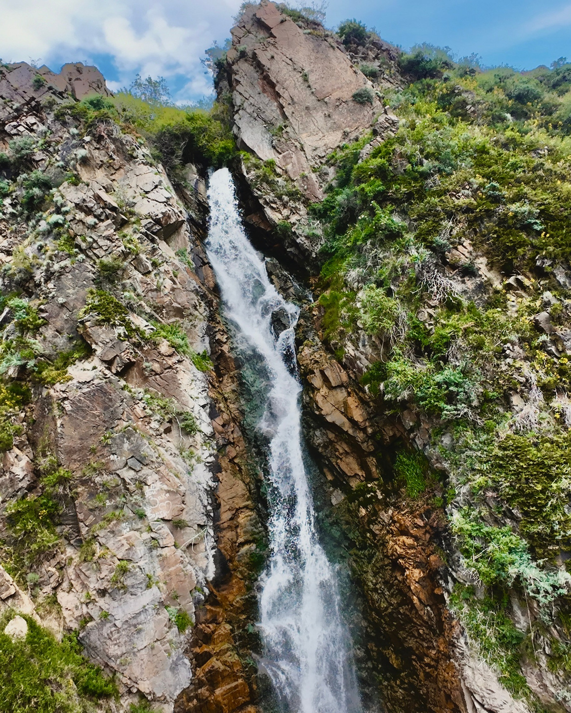 Фото озера Каинды:Озеро Каинды — затопленный лес, торчащие ели, экотакси, конная прогулка, мистическое озеро, достопримечательности Казахстана