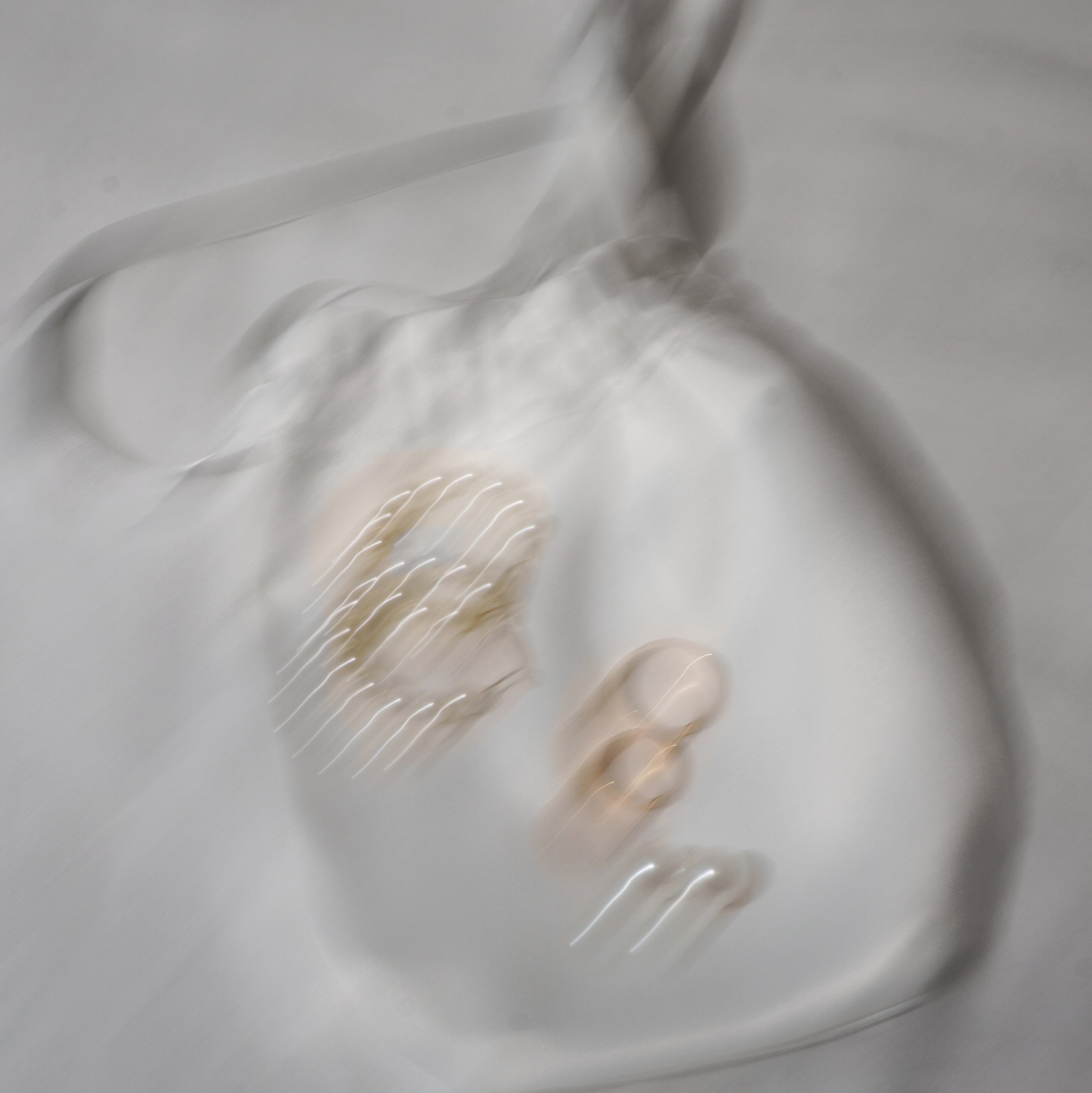 Стоимость свадебных съемок. Карпенко Марина свадебный и семейный фотограф Анапа, Краснодар, Геленджик, Сочи, Темрюк