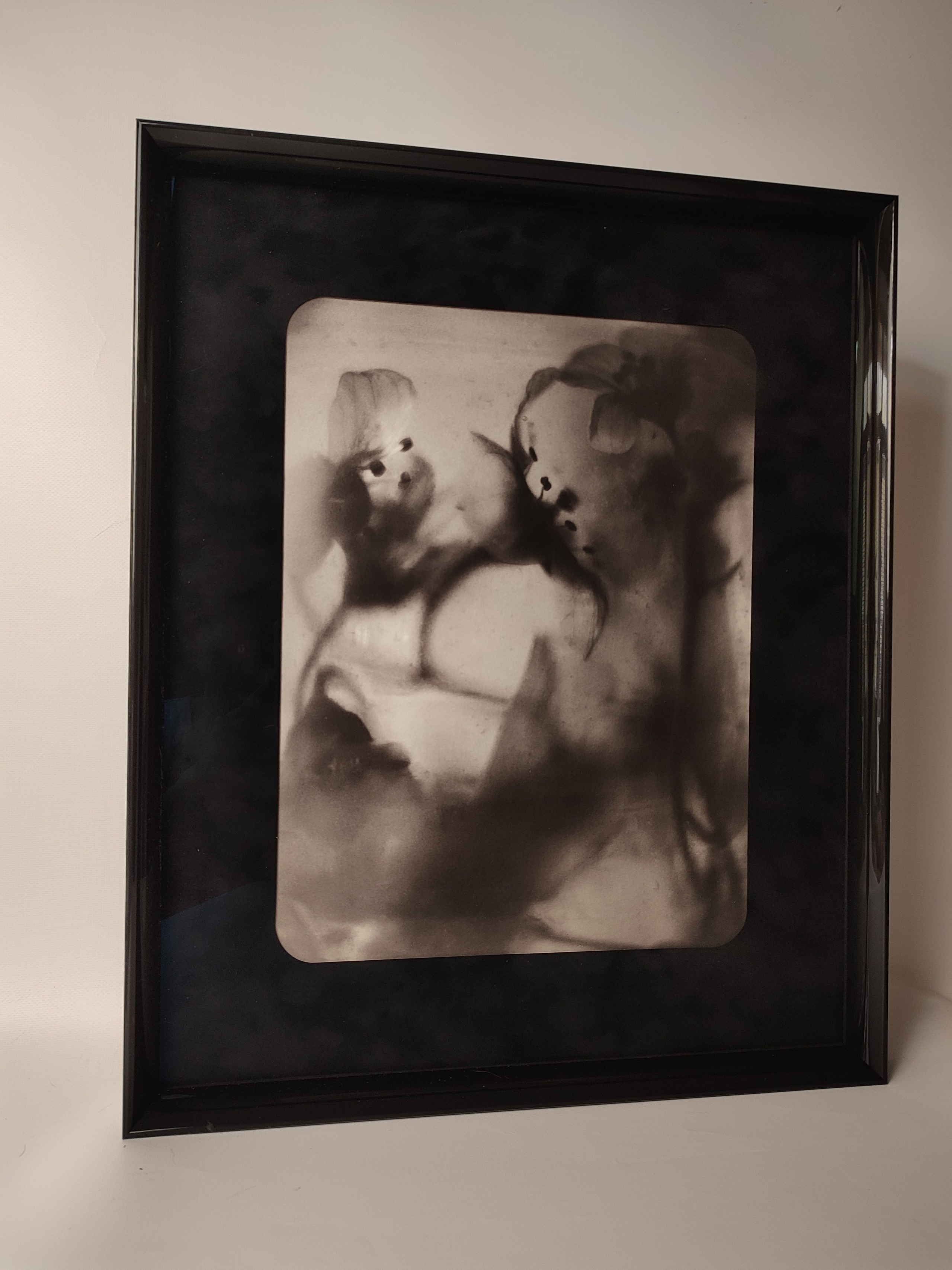 Серия «Цветы и медузы». Плёночный фотограф Юлия Андрейченко в Москве