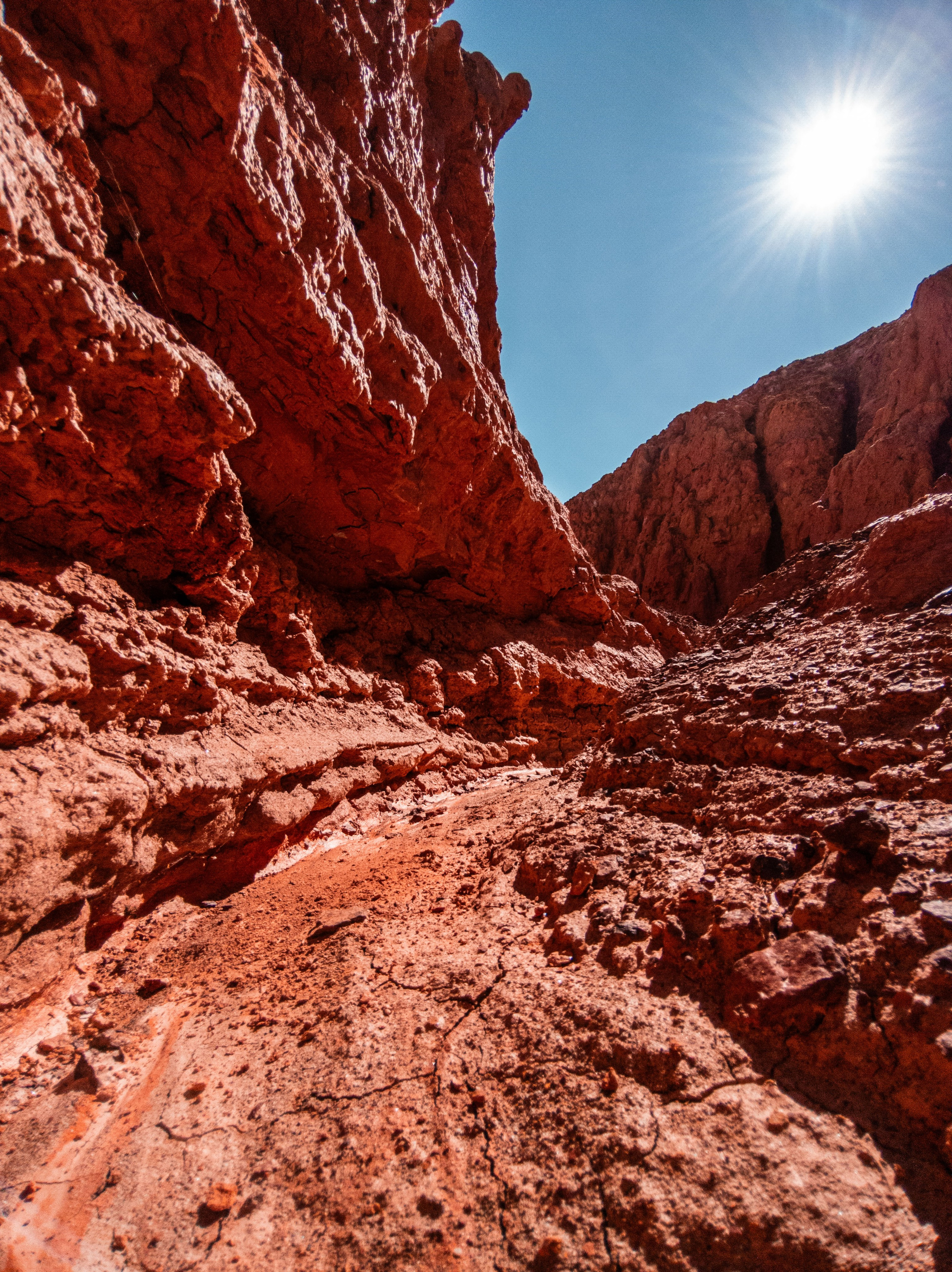 Экспедиция ВКО с NatGeo Qaz x Xiaomi 2023. Свадебный и Студийный фотограф из Казахстана Артем Орлянский