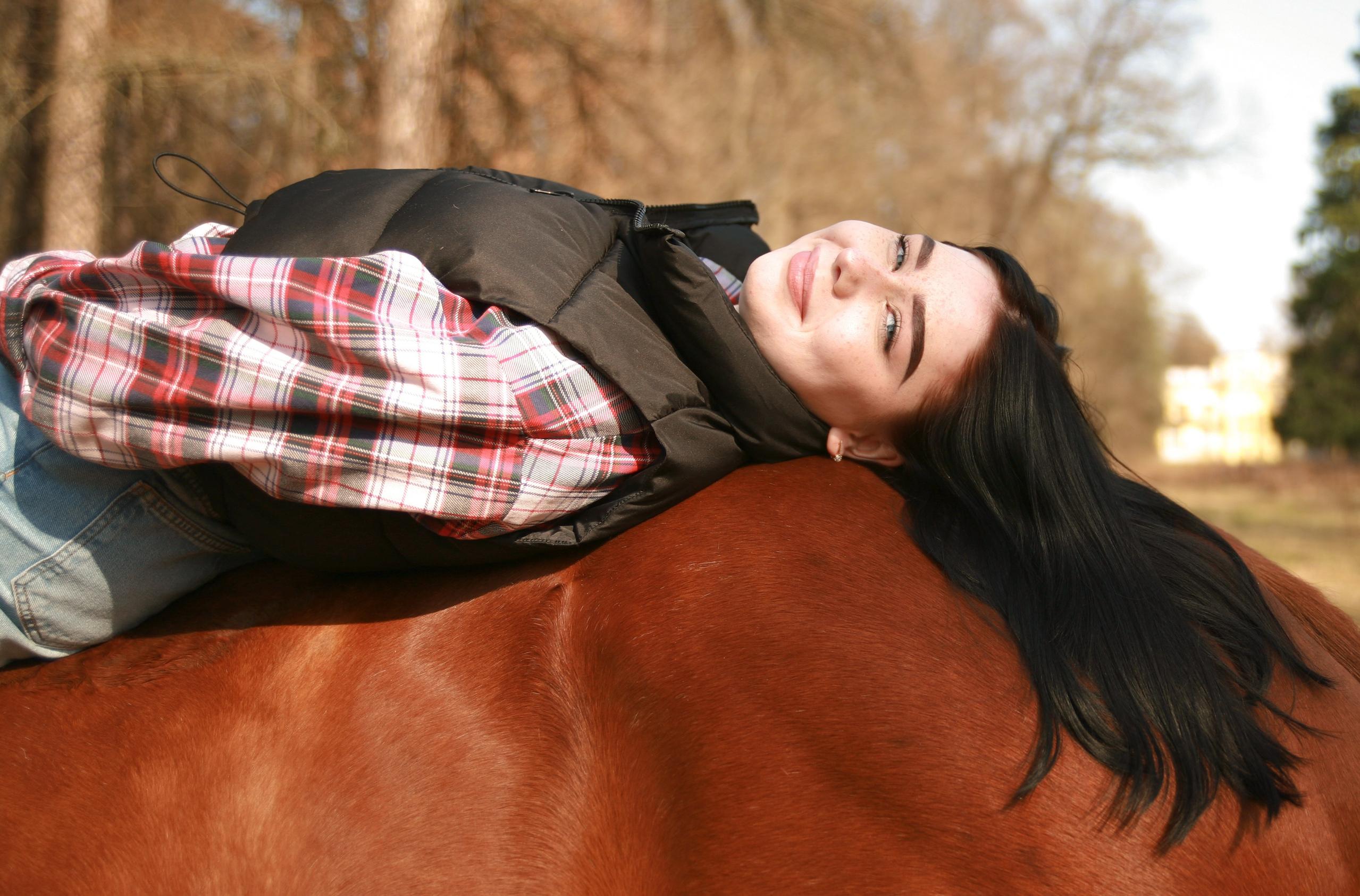 Фотограф с лошадьми в Москве