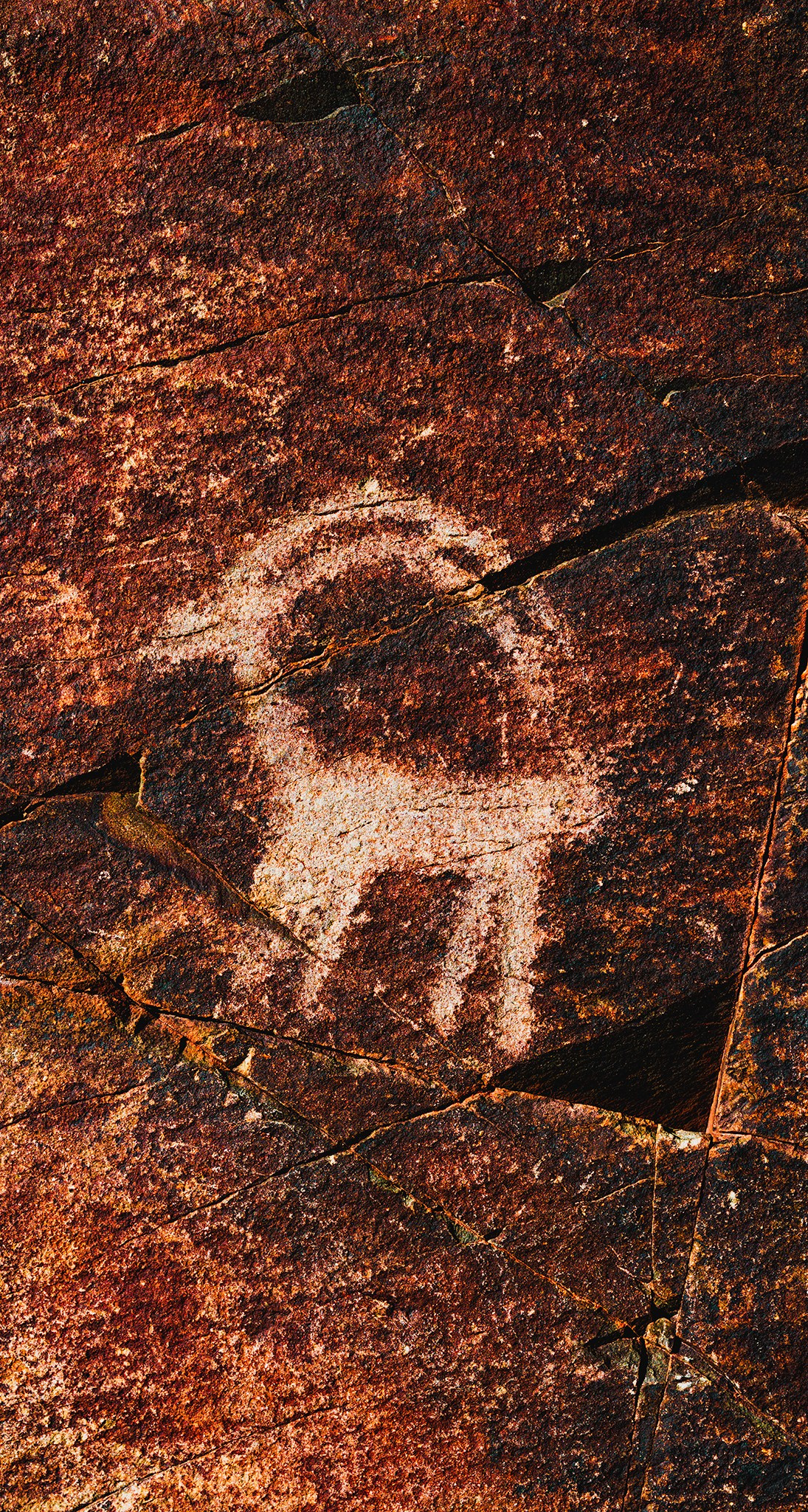 Козерог. Картины о красоте, культурных ценностях и традициях Казахстана