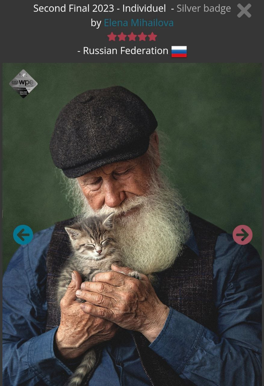 МОИ ДОСТИЖЕНИЯ. Детский и семейный фотограф Елена Михайлова в Москве