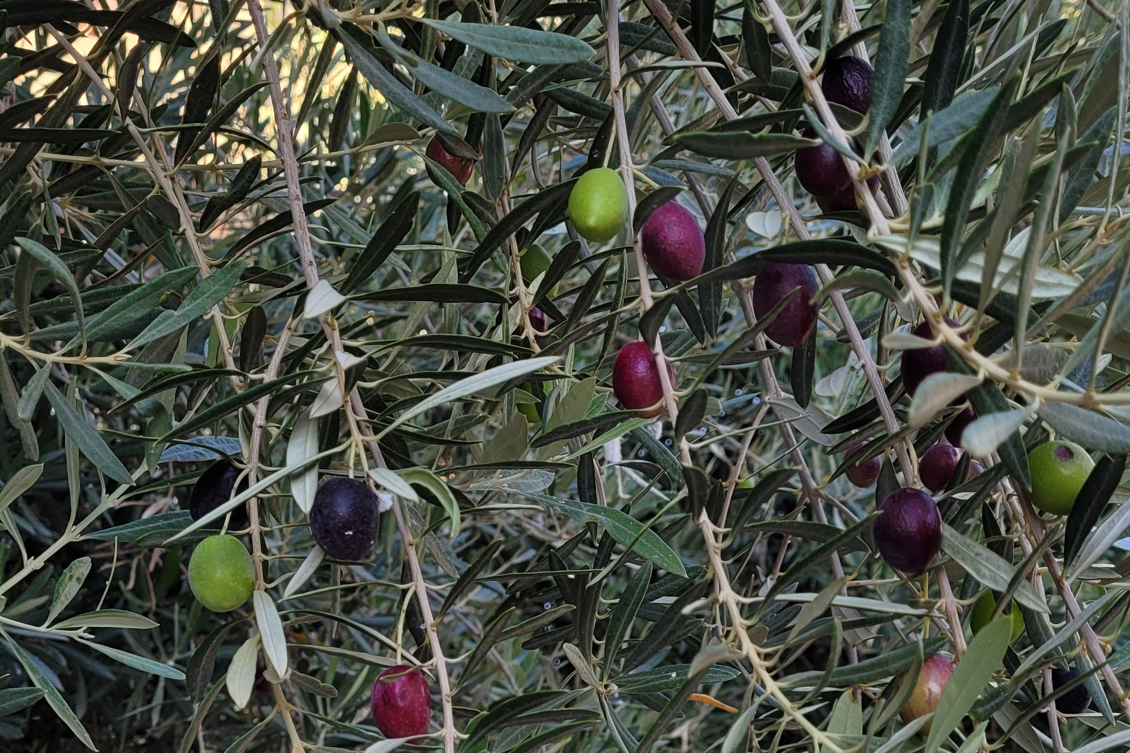 Марокко. Илья Варин — Фотограф Москва, Тверь