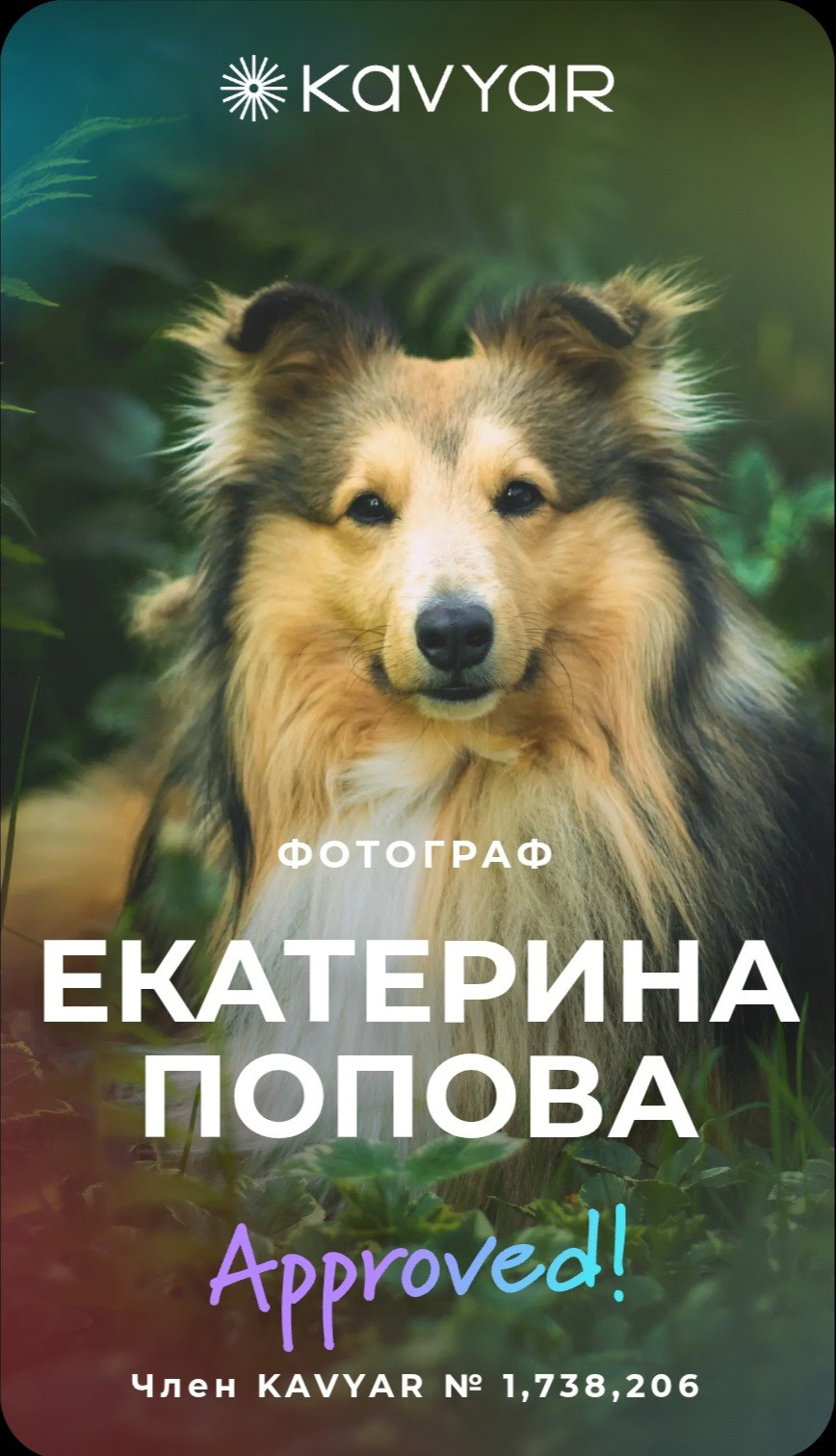 Фотограф Екатерина Попова |Семья и питомцы|НН и Дзержинск