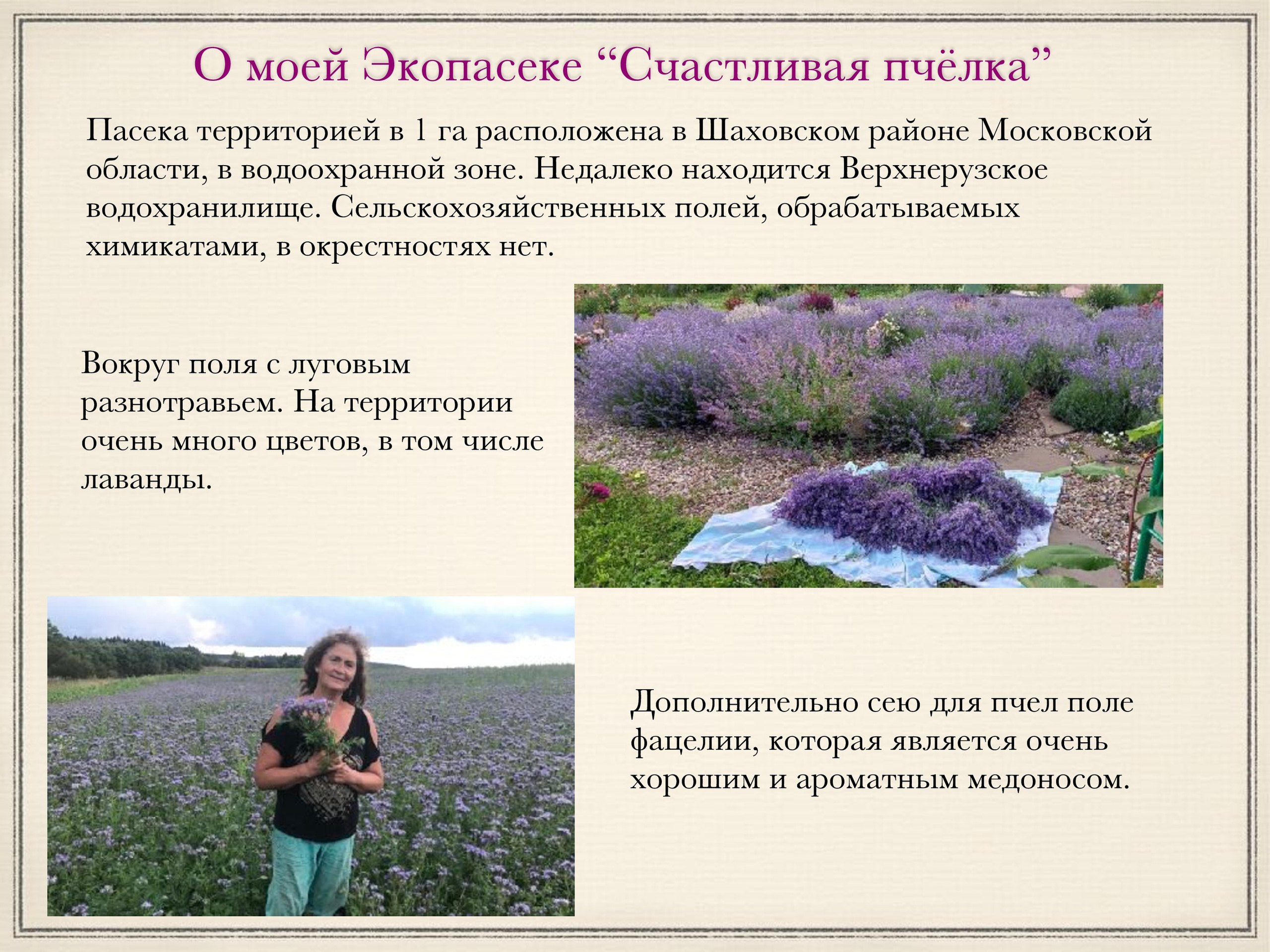 Проект Ваш улей на мое Экопасеке. Эко отдых в Подмосковье в эко-отеле Марии Гиппенрейтер