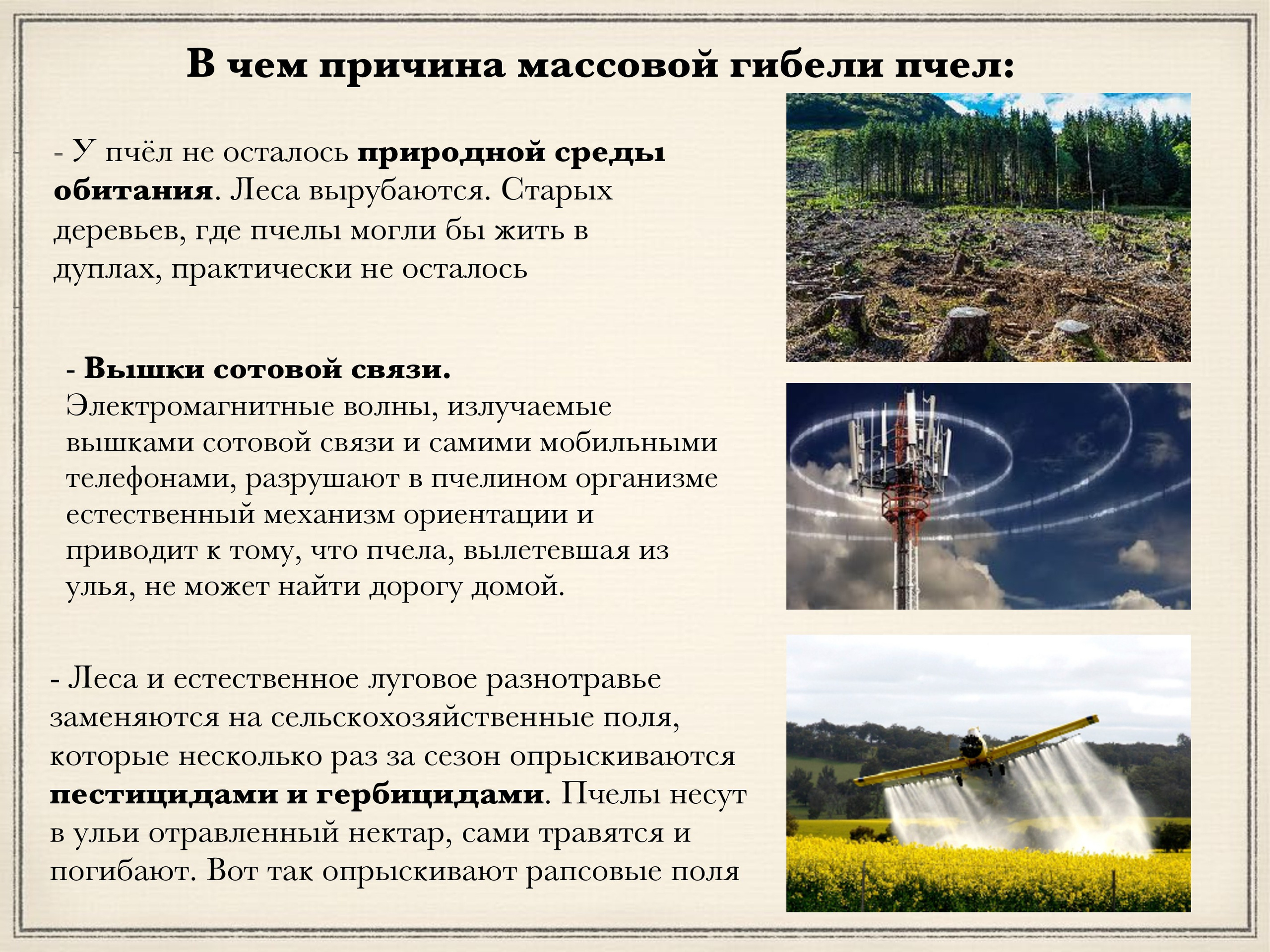 Проект Ваш улей на мое Экопасеке. Эко отдых в Подмосковье в эко-отеле Марии Гиппенрейтер
