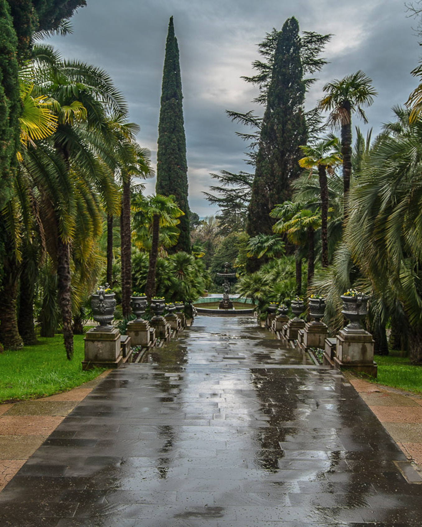 Фотоснимок дендра парка в Сочи