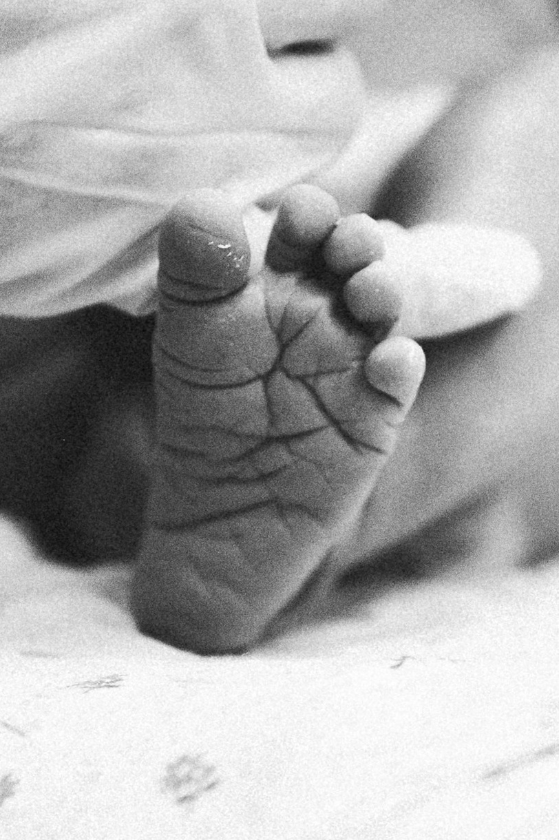 Услуги. Фотограф Анастасия Шеин. Роды, дети, семья. Москва и Санкт-Петербург