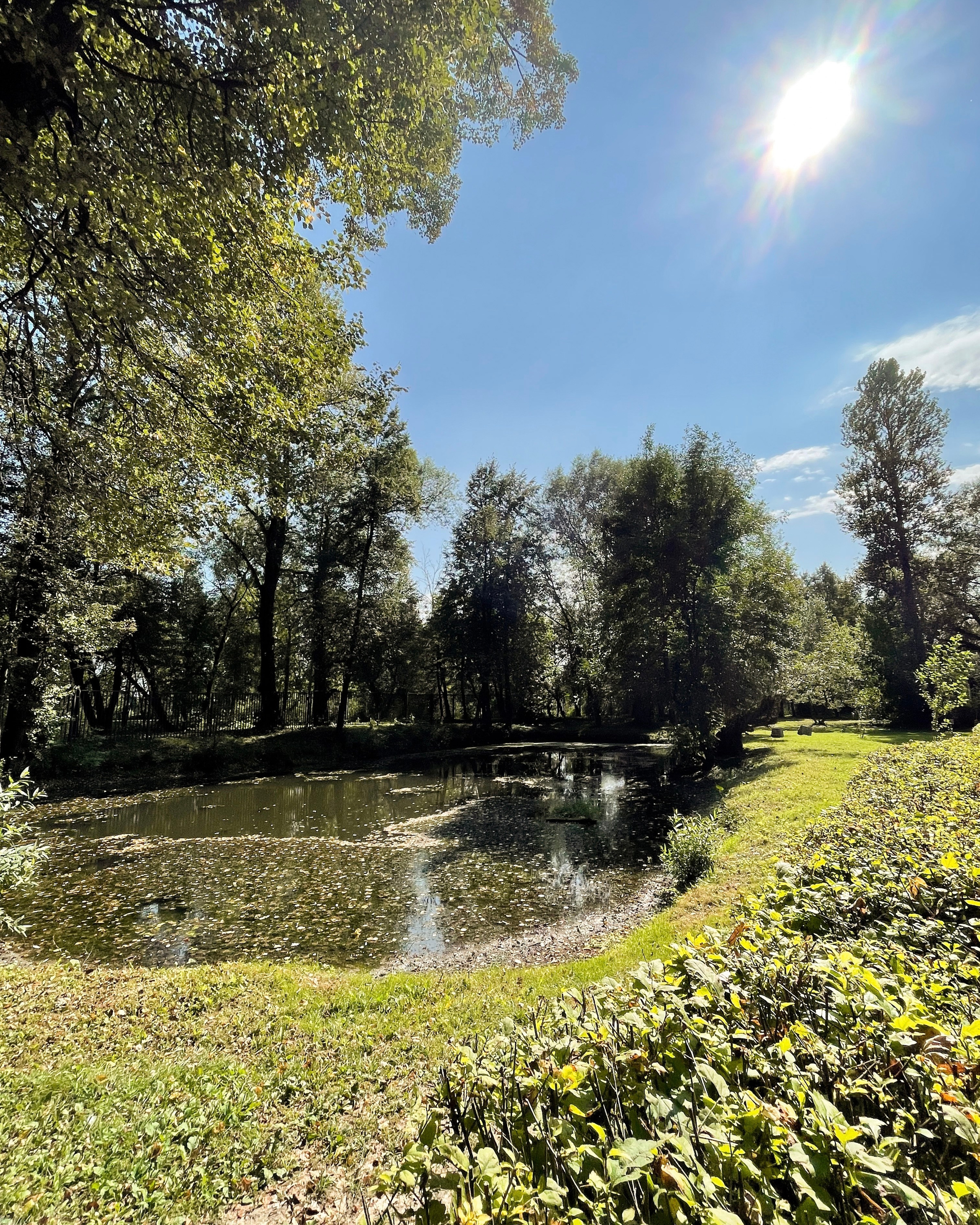 Усадьбы. Экскурсовод по Москве Беляева Валентина