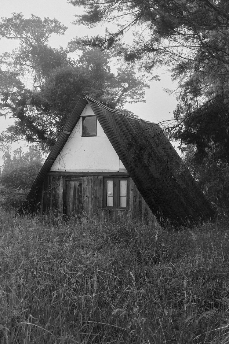 PhMuseum: Неполное руководство по созданию фотокниг — Аллан Салас. Самоорганизация Низина