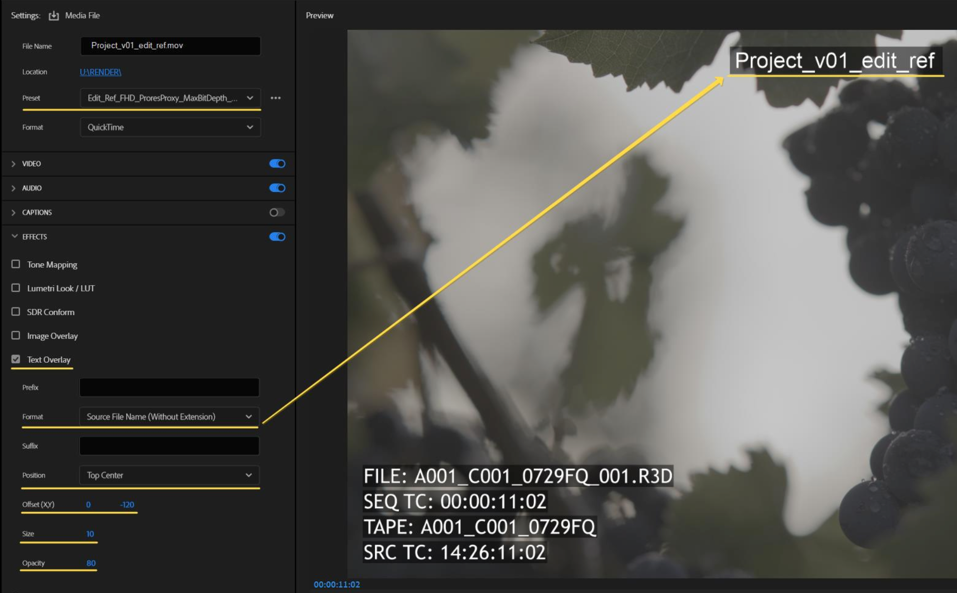 ROUND TRIP PREMIERE PRO TO DAVINCI RESOLVE