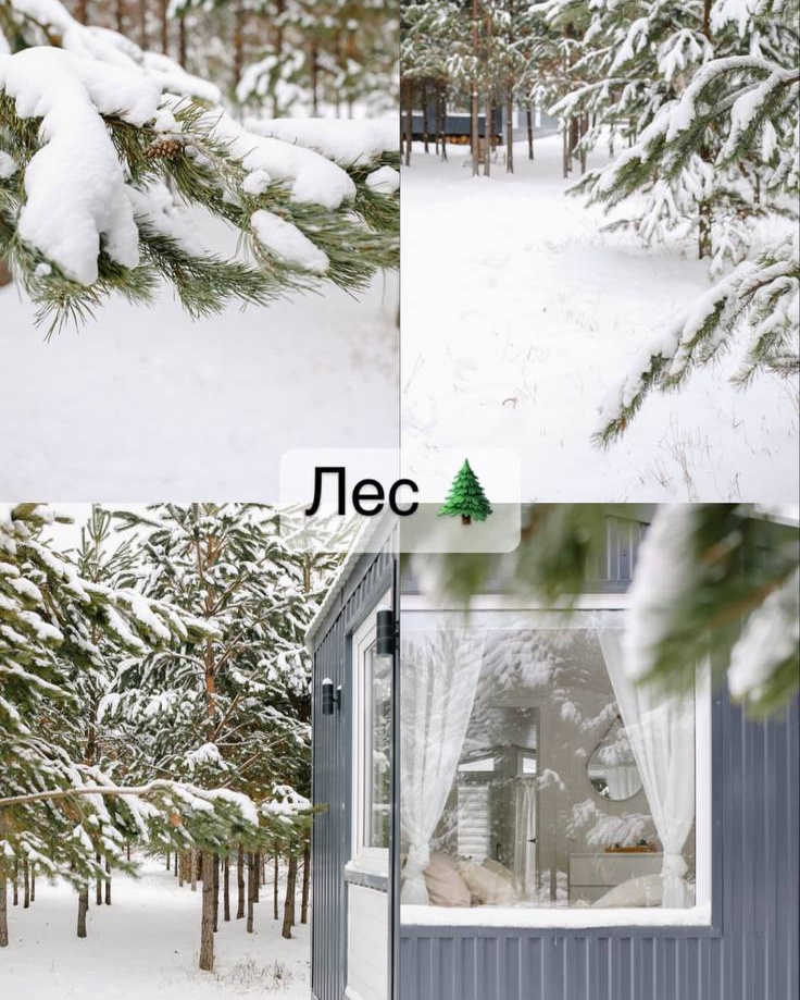 Новогодний фотодень. Фото и видеосъемка Alex May Екатеринбург