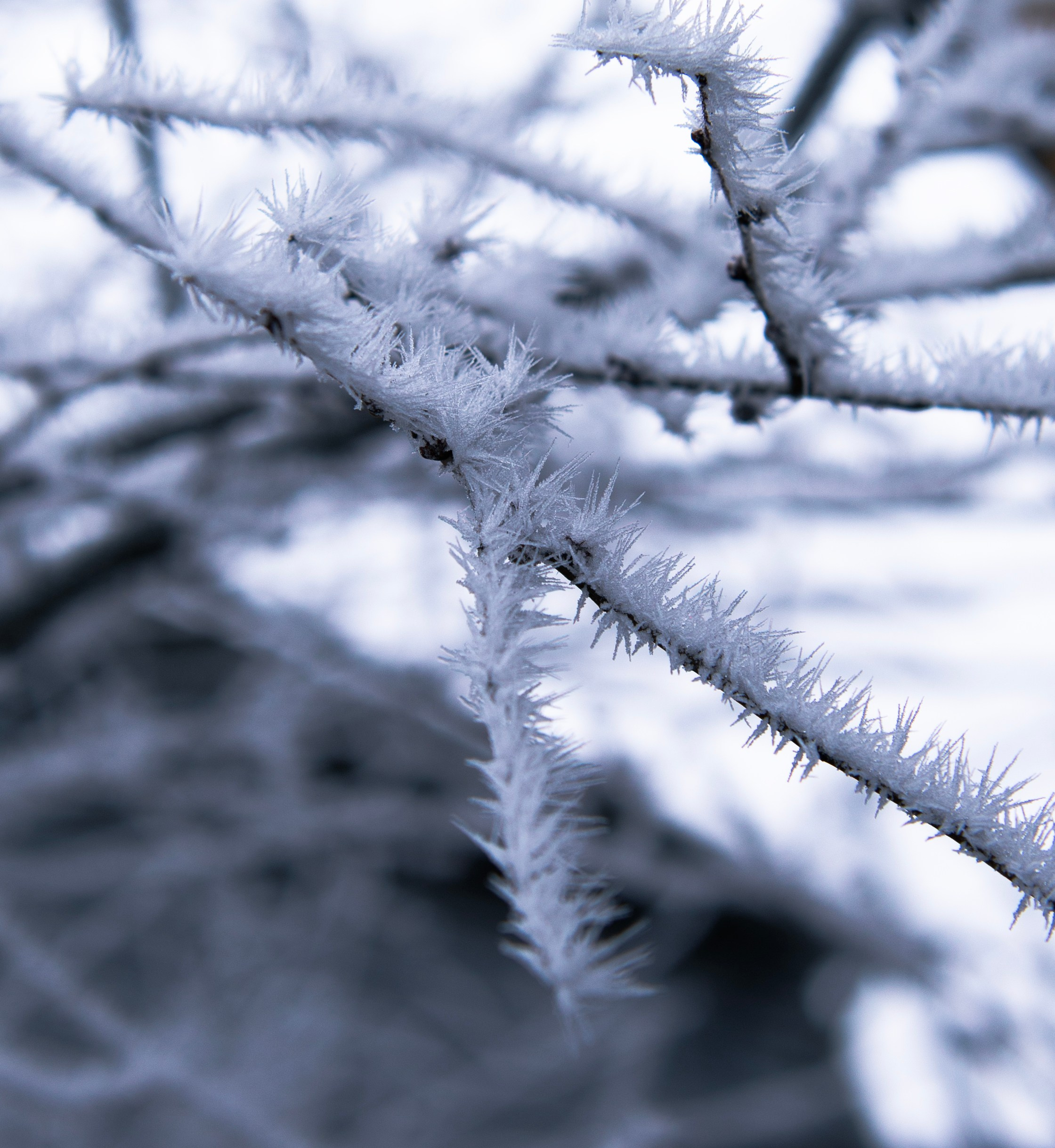 Серебро. Профессиональная High-End Ретушь | Ретушер и предметный фотограф Алла Белова