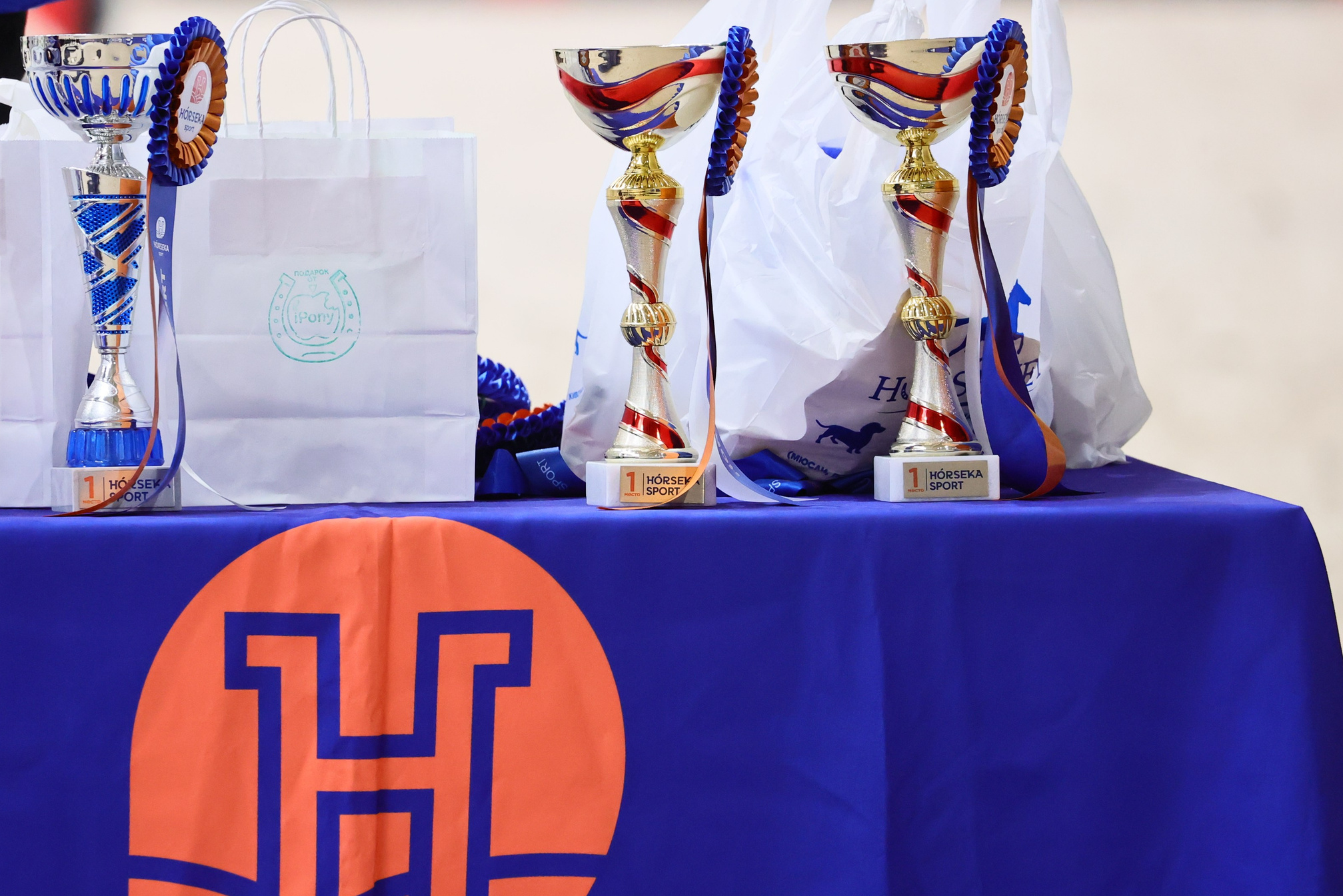 Купить фотографии с турниров. KatymartArt — Equine photography