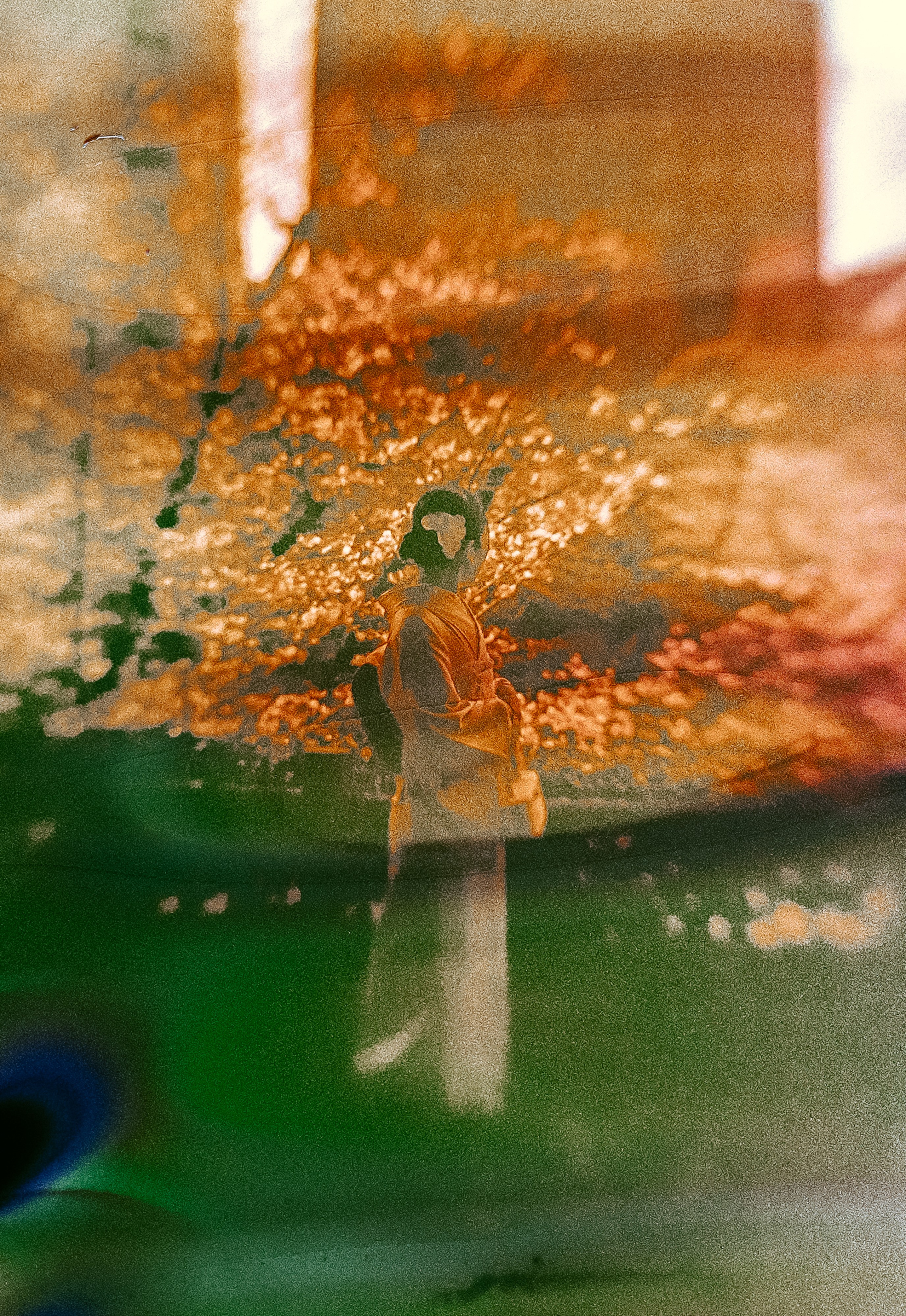 OVERLAYS AND REFRACTIONS. International visual artist