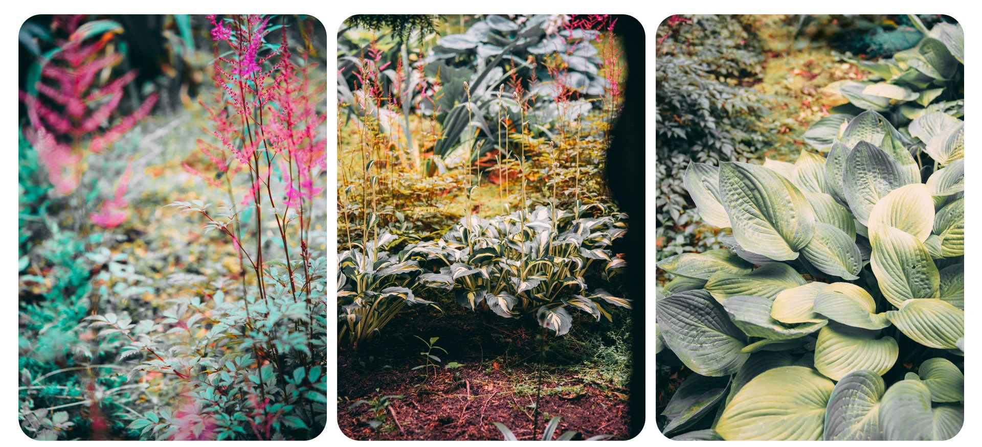 Калининград 3. Фотограф из Москвы — DASHA NOVA | Авторская фотография в разных жанрах