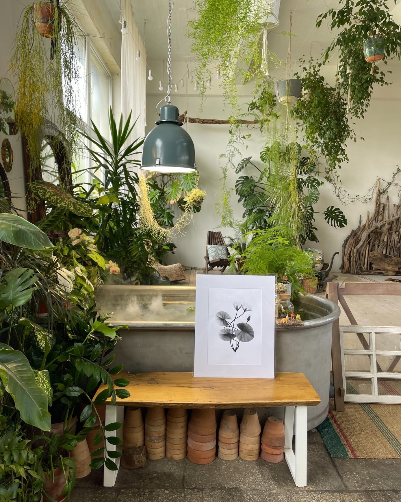 Зелёные локации для фотосъёмок в Санкт-Петербурге