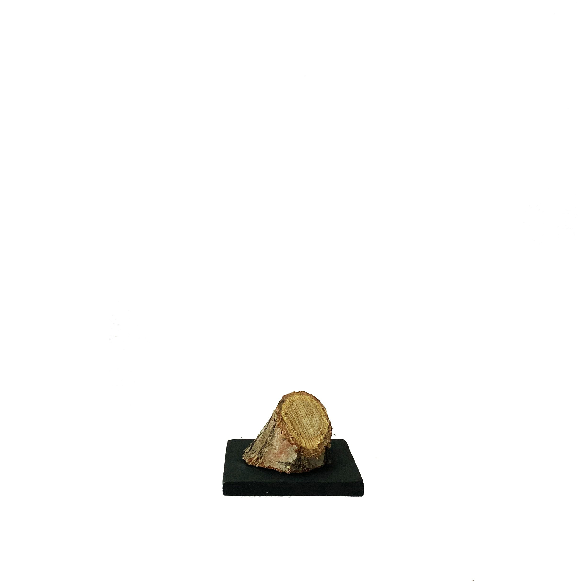 Дайте воздуха. Художник Рыбак Николай