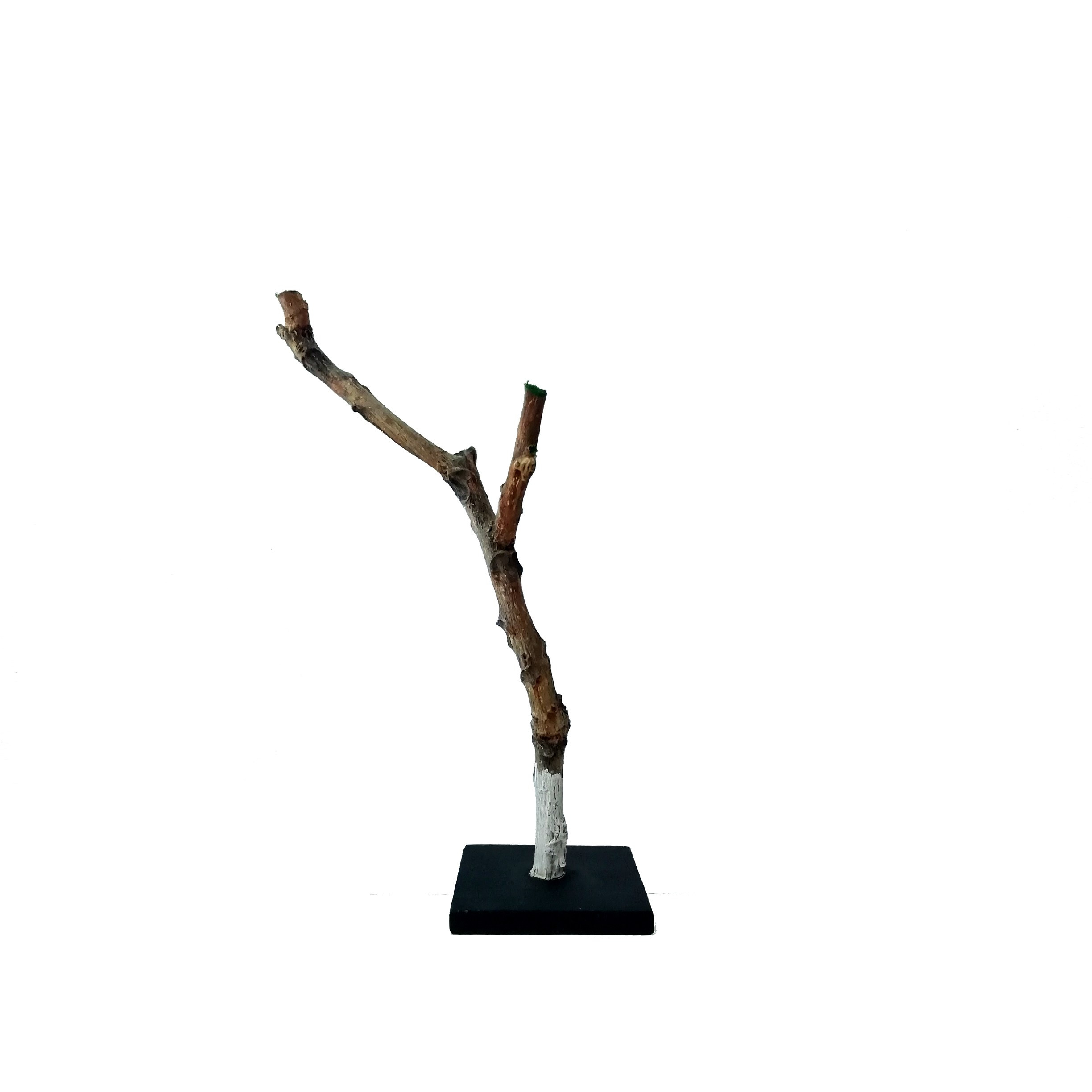 Дайте воздуха. Художник Рыбак Николай