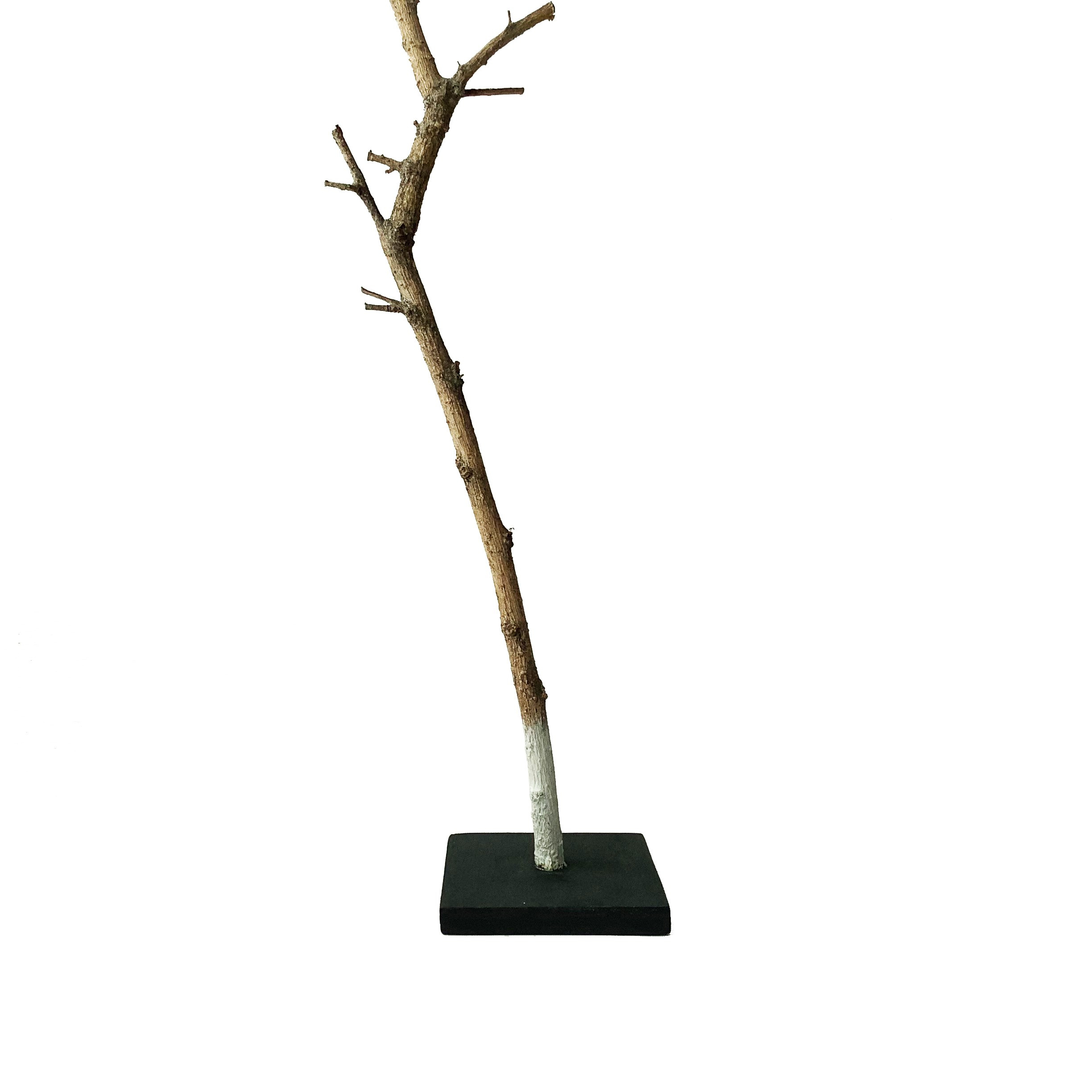 Дайте воздуха. Художник Рыбак Николай