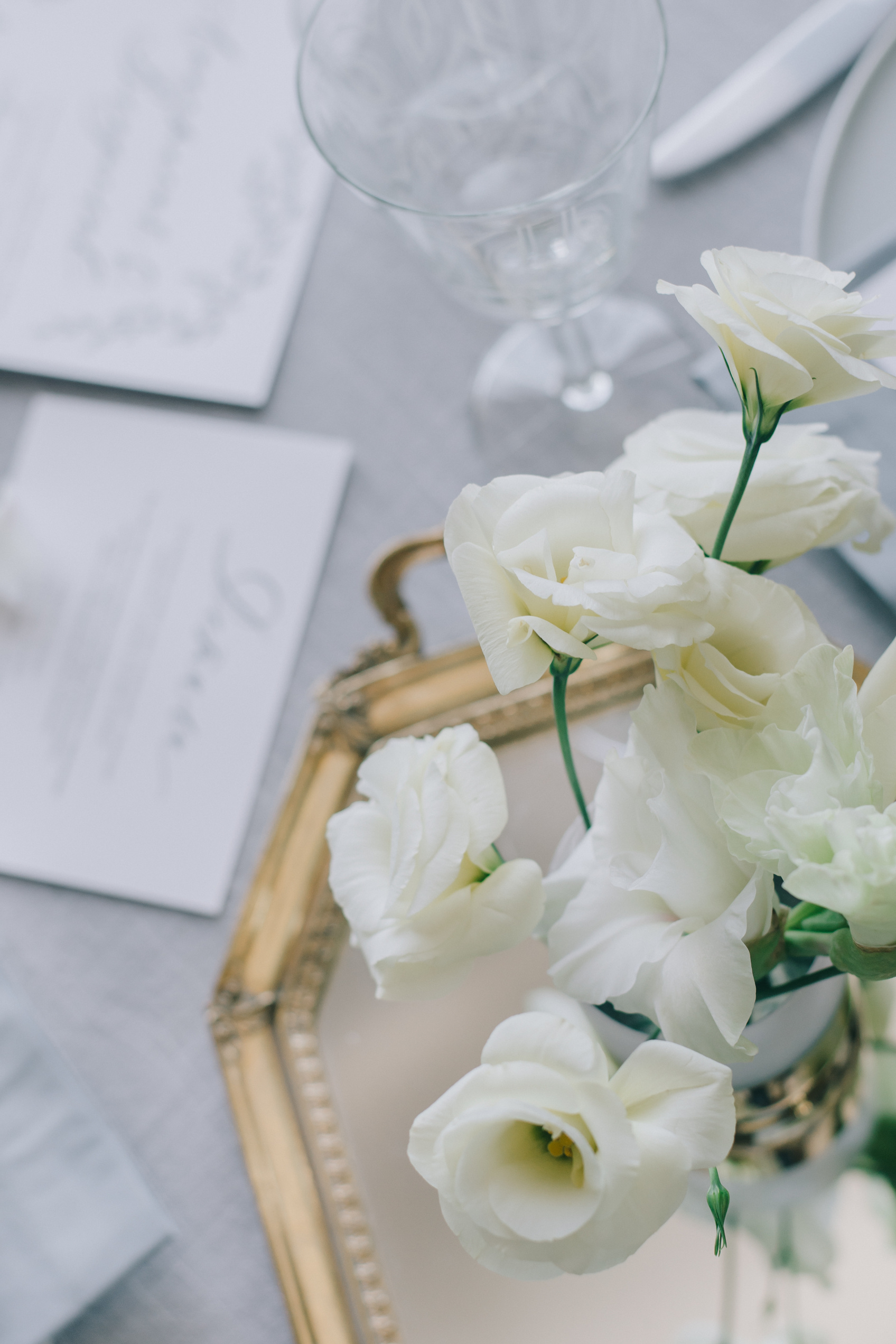 Контакты. Фотограф в Краснодаре Зеленкина Дарья