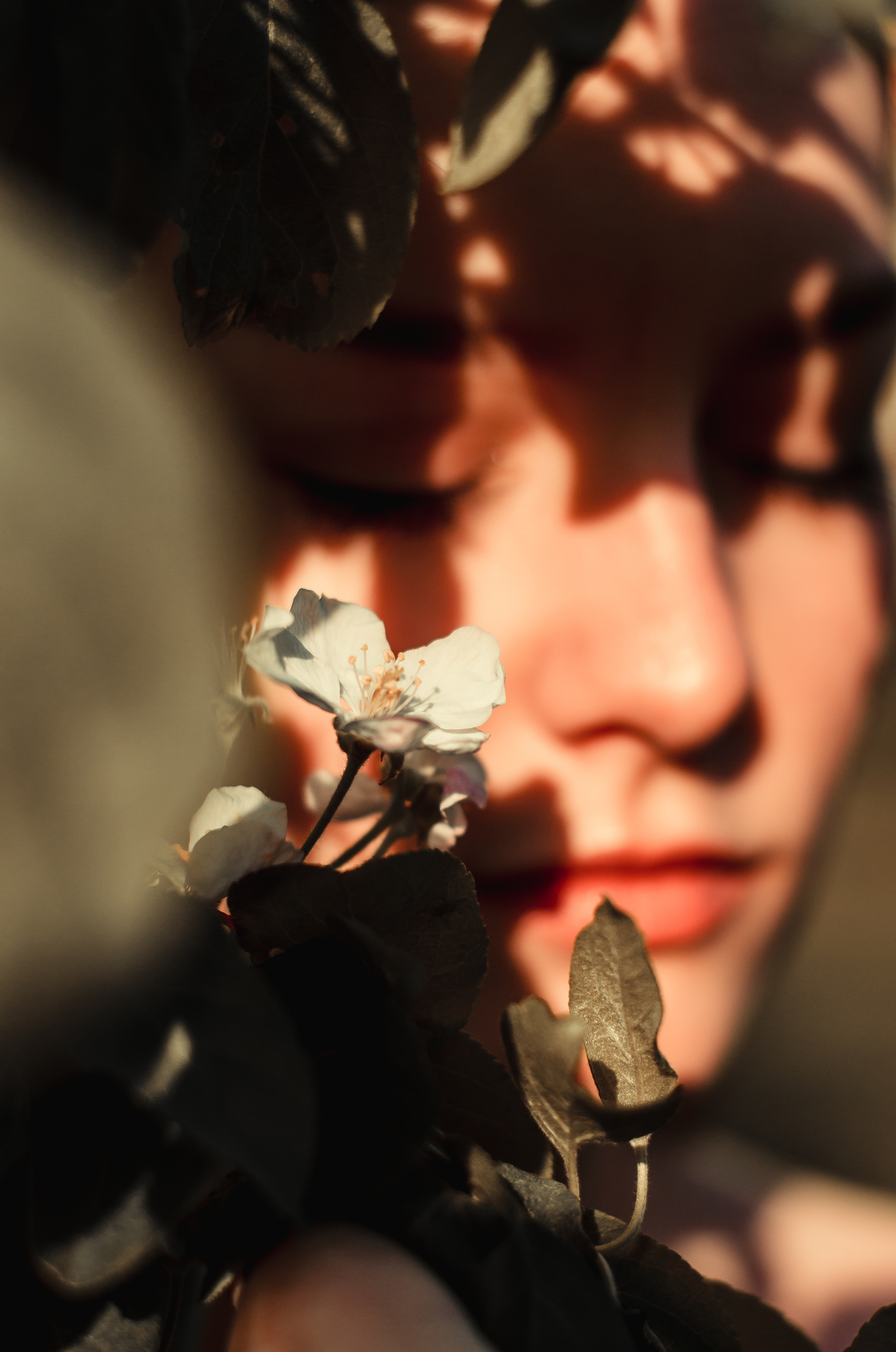 Фотосессия в цветущих садах. Свадебный и семейный фотограф в Москве Елена Брюханова