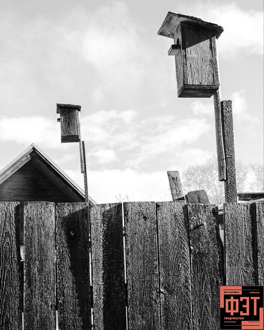 Наталья Переверзева