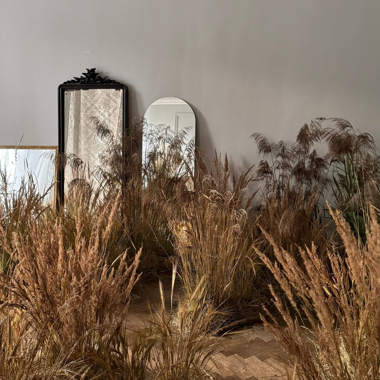 Рекомендации по образам на фотосессию в студию. Фотограф в Санкт-Петербурге, Анна Скворцова