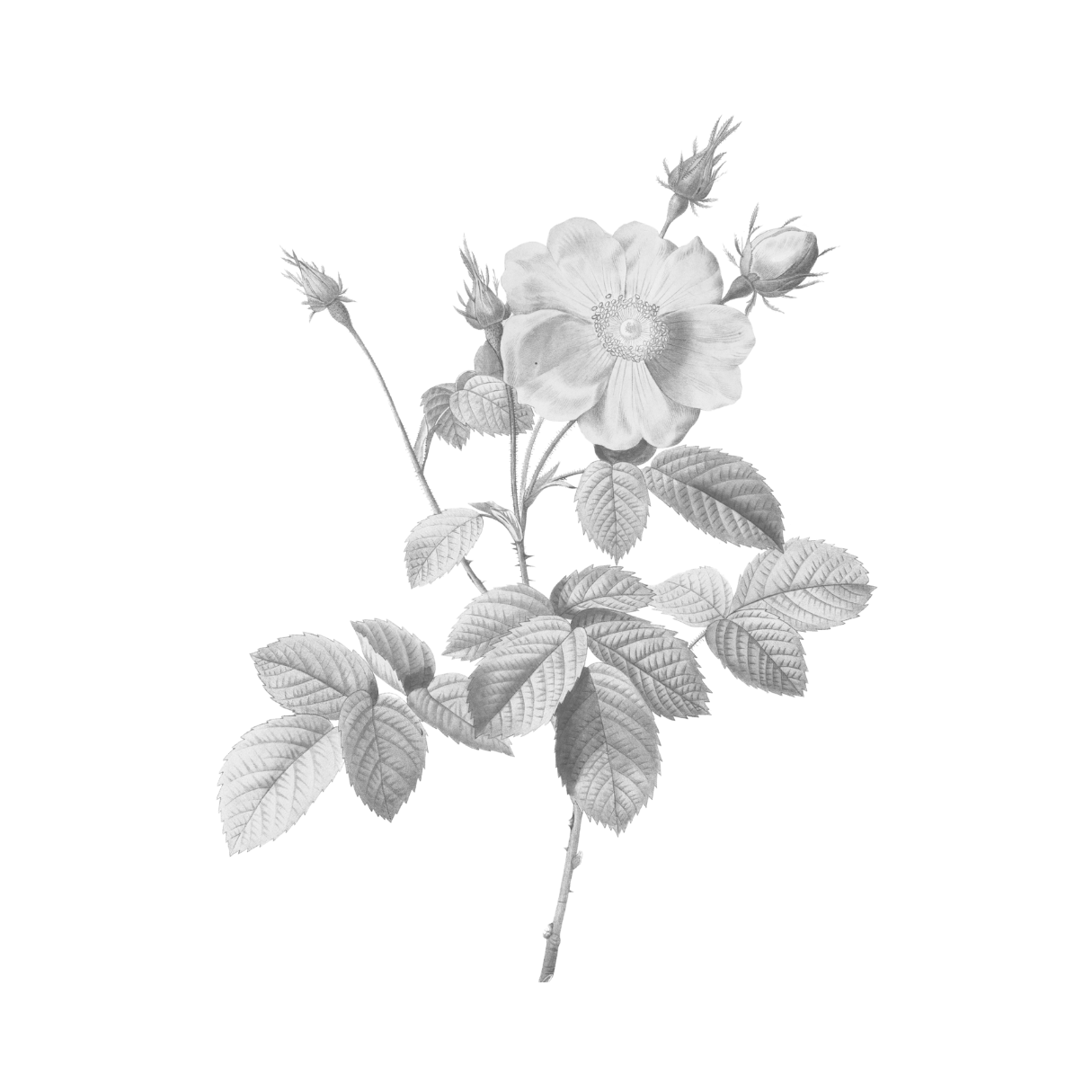 ПЛАНИРОВАНИЕ МАРШРУТОВ. Ольга Моджаро | Маршруты по Франции