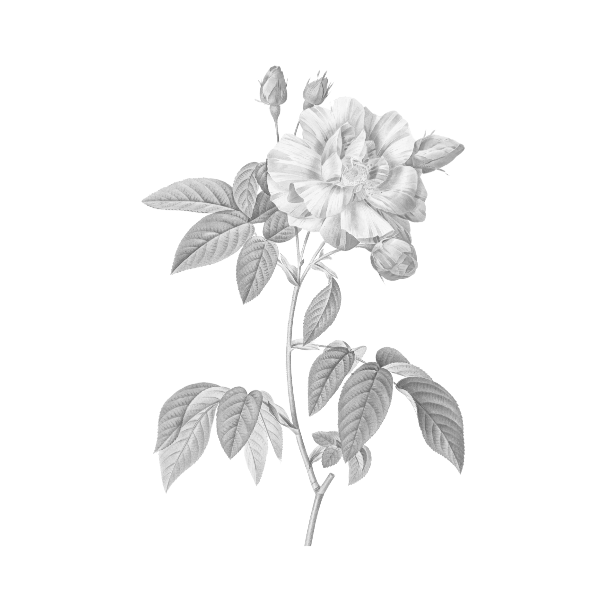 ПЛАНИРОВАНИЕ МАРШРУТОВ. Ольга Моджаро | Маршруты по Франции