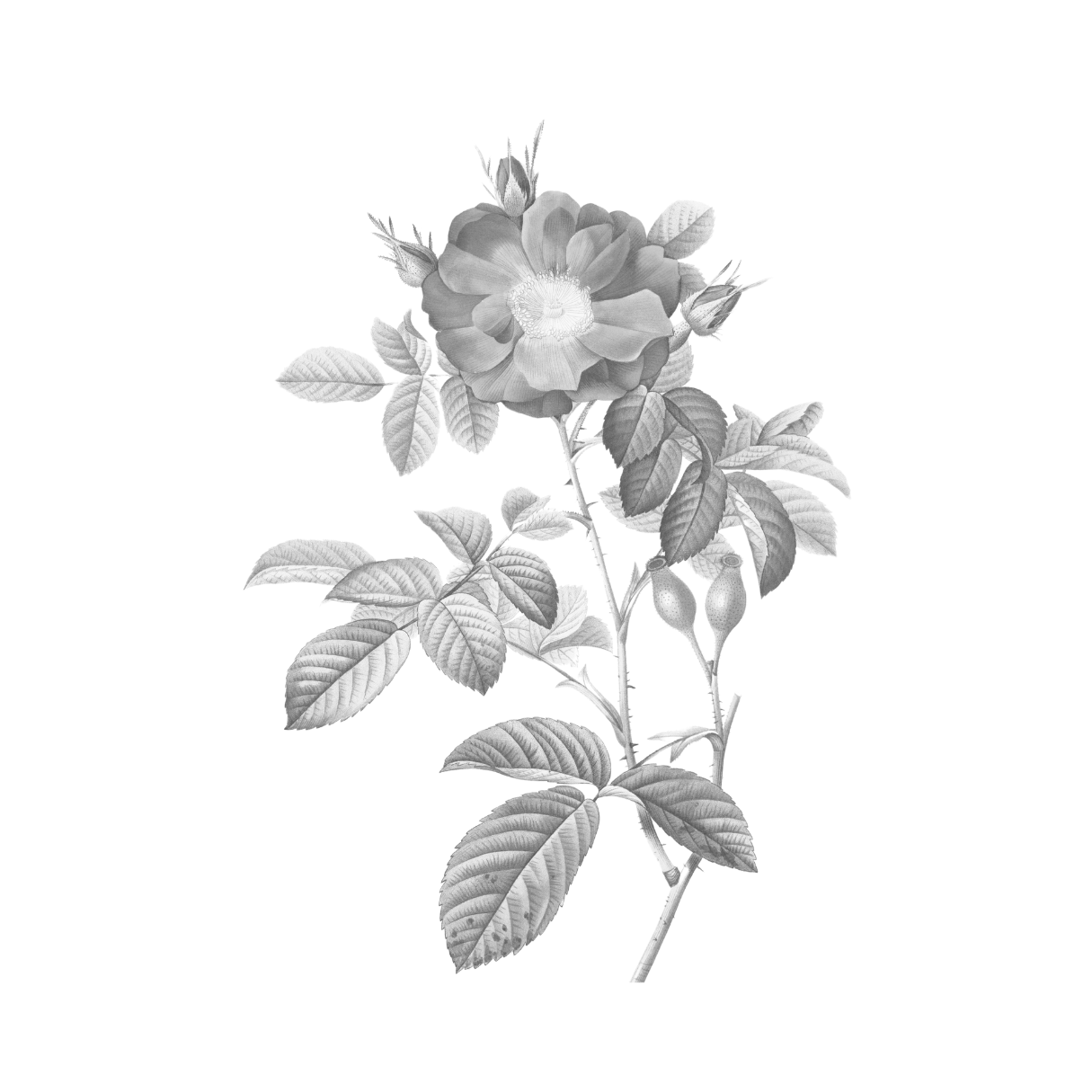 ПЛАНИРОВАНИЕ МАРШРУТОВ. Ольга Моджаро | Маршруты по Франции