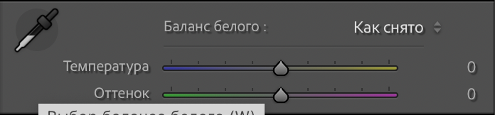 Пресеты: хорошо или плохо?. Фотограф Андрэа Пунченок