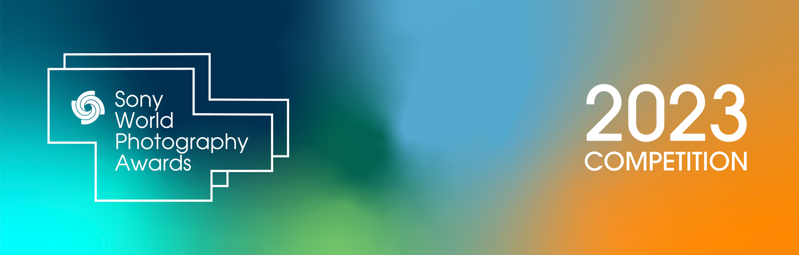 Лауреаты премии Всемирной организации фотографии за 2023 год. Фотограф — видеограф в Москве Дмитрий Менделеев