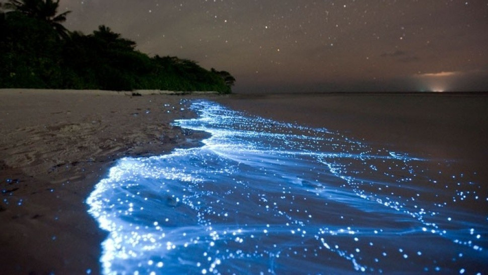 Жесткий и мягкий свет. Как их создать? Как с ними работать?. Свадебный и семейный фотограф Виктория Носачёва. Щелково, Москва и МО