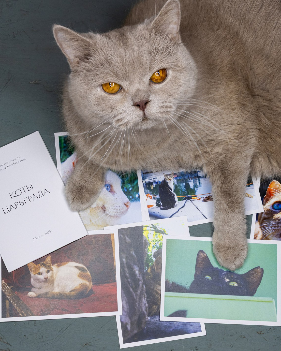 Магазин. Фотограф Тина Бережная