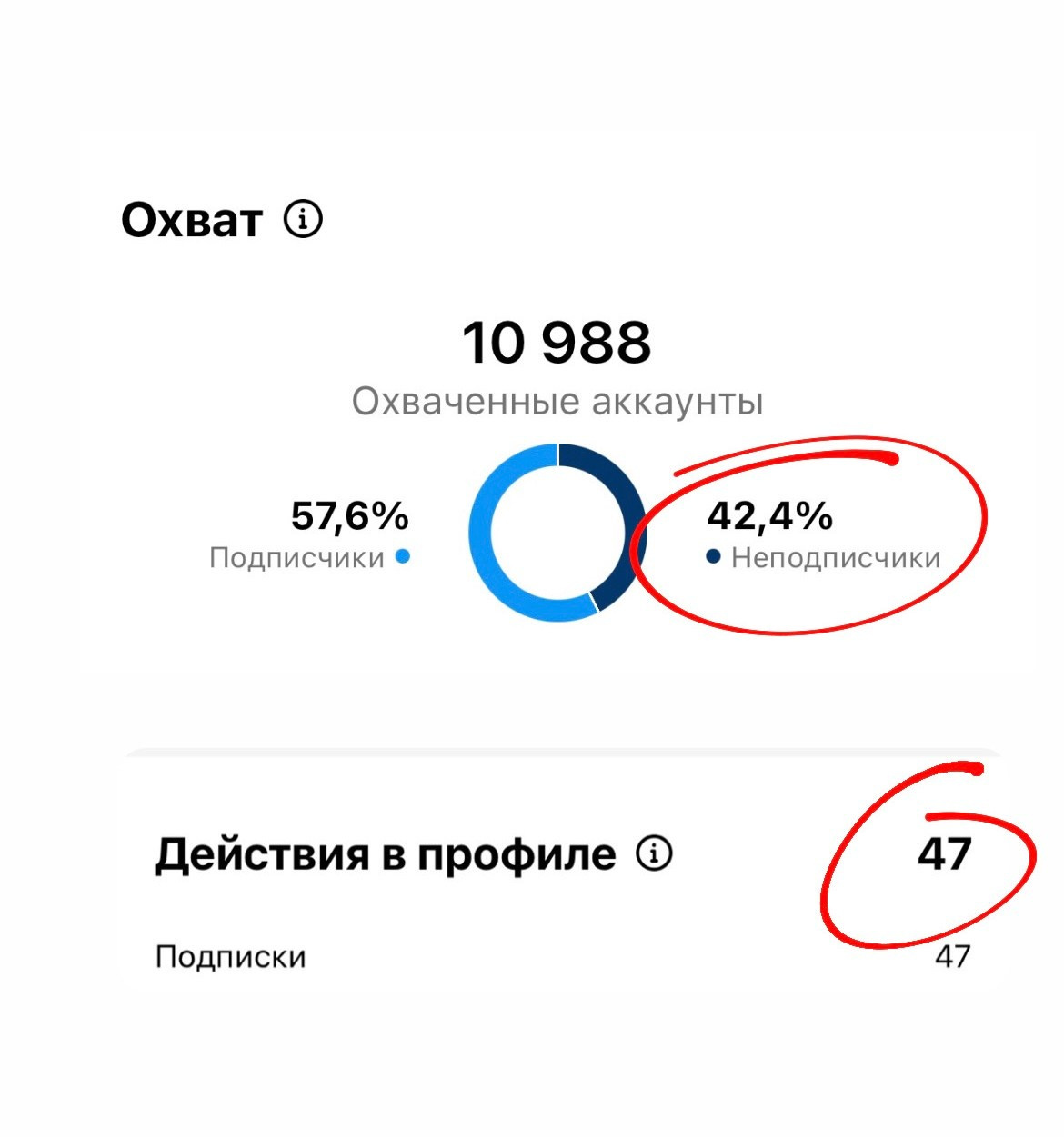 Интенсив «Reels для фотографа как инструмент продвижения». Семейный фотограф Татьяна Надеждина | Москва, Московская область, Ярославль