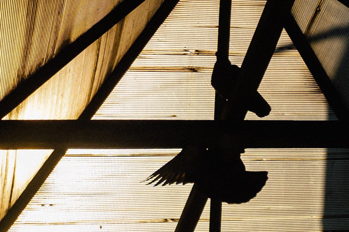 Фоточеллендж «30 дней — 30 фото». Олег Романов. Мастер фото по спорту